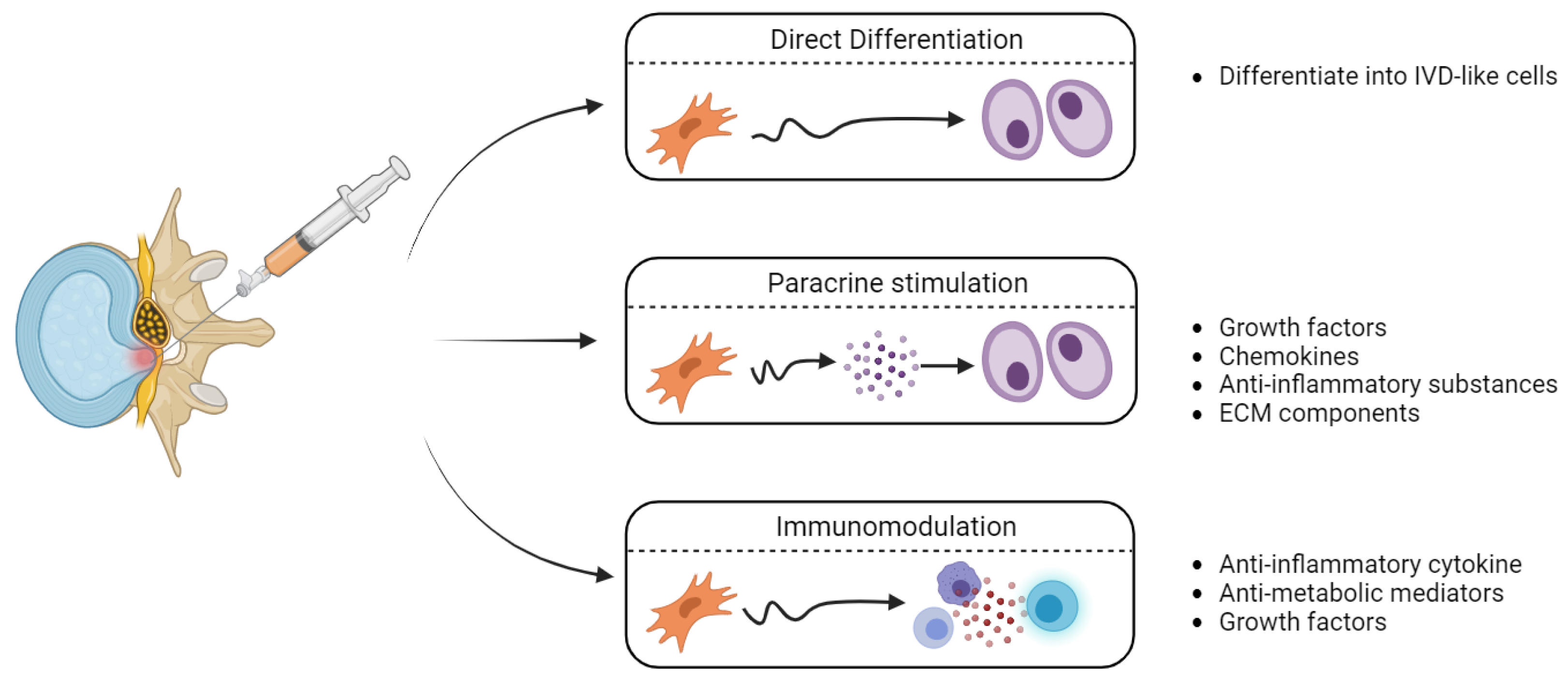 Bioengineering 11 00591 g002