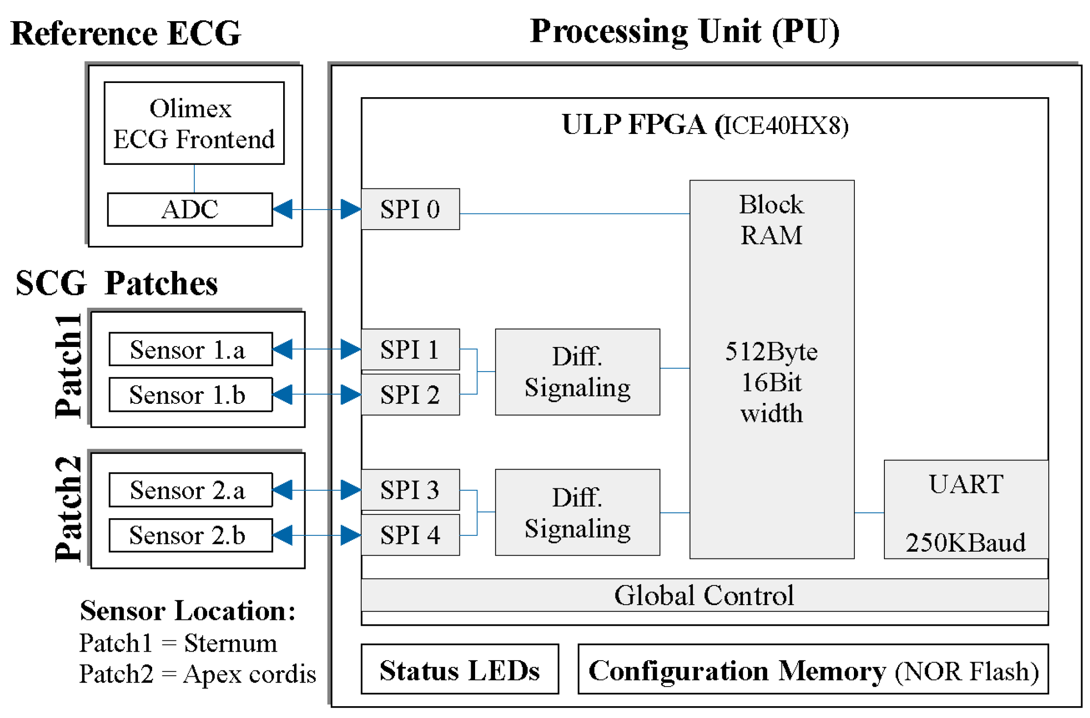 Bioengineering 11 00596 g002