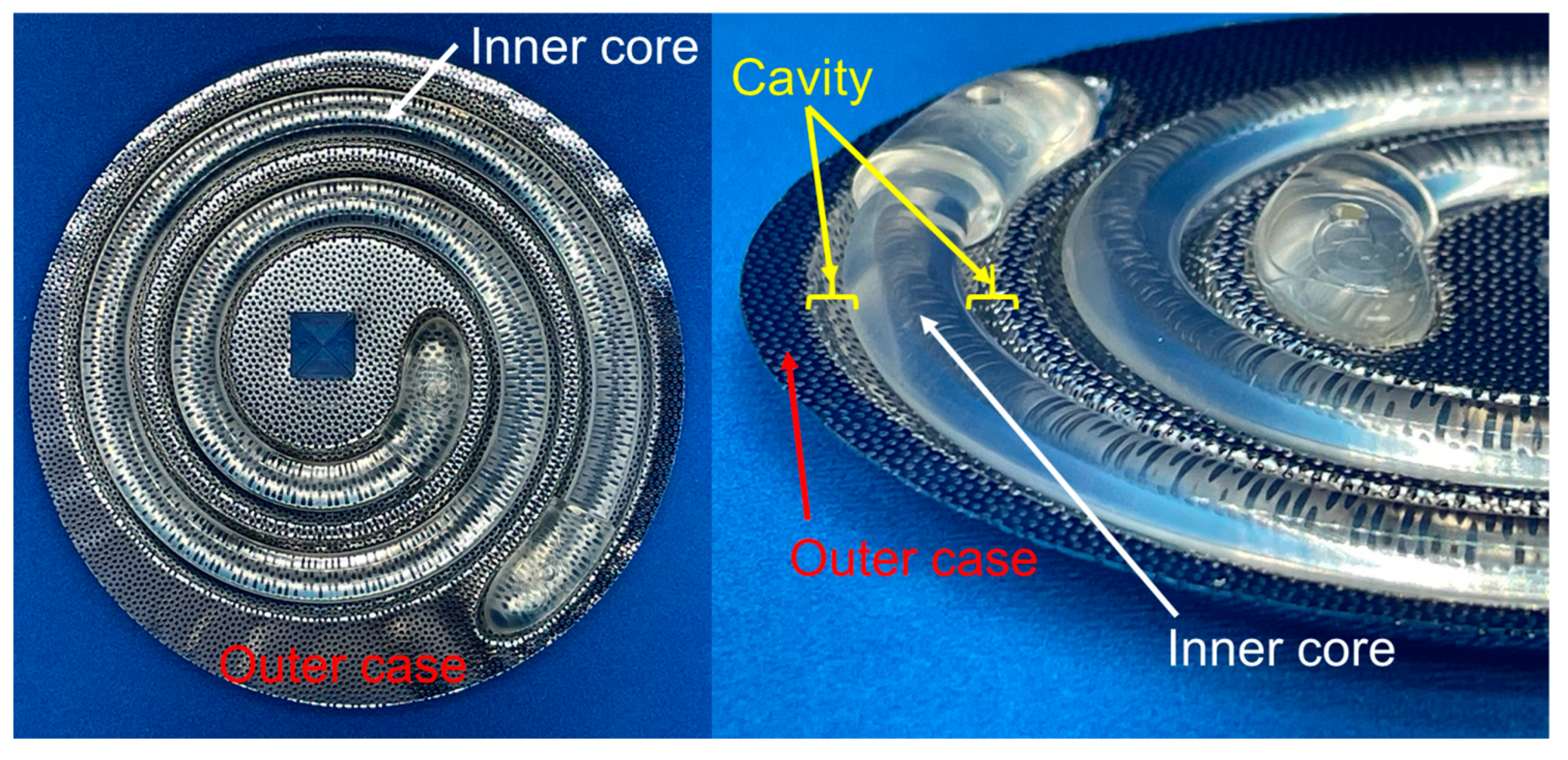 Bioengineering 11 00598 g001
