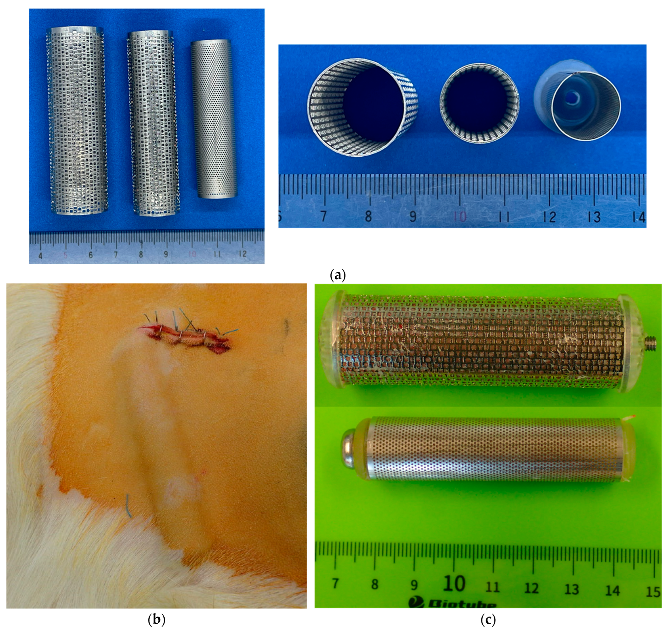Bioengineering 11 00598 g002