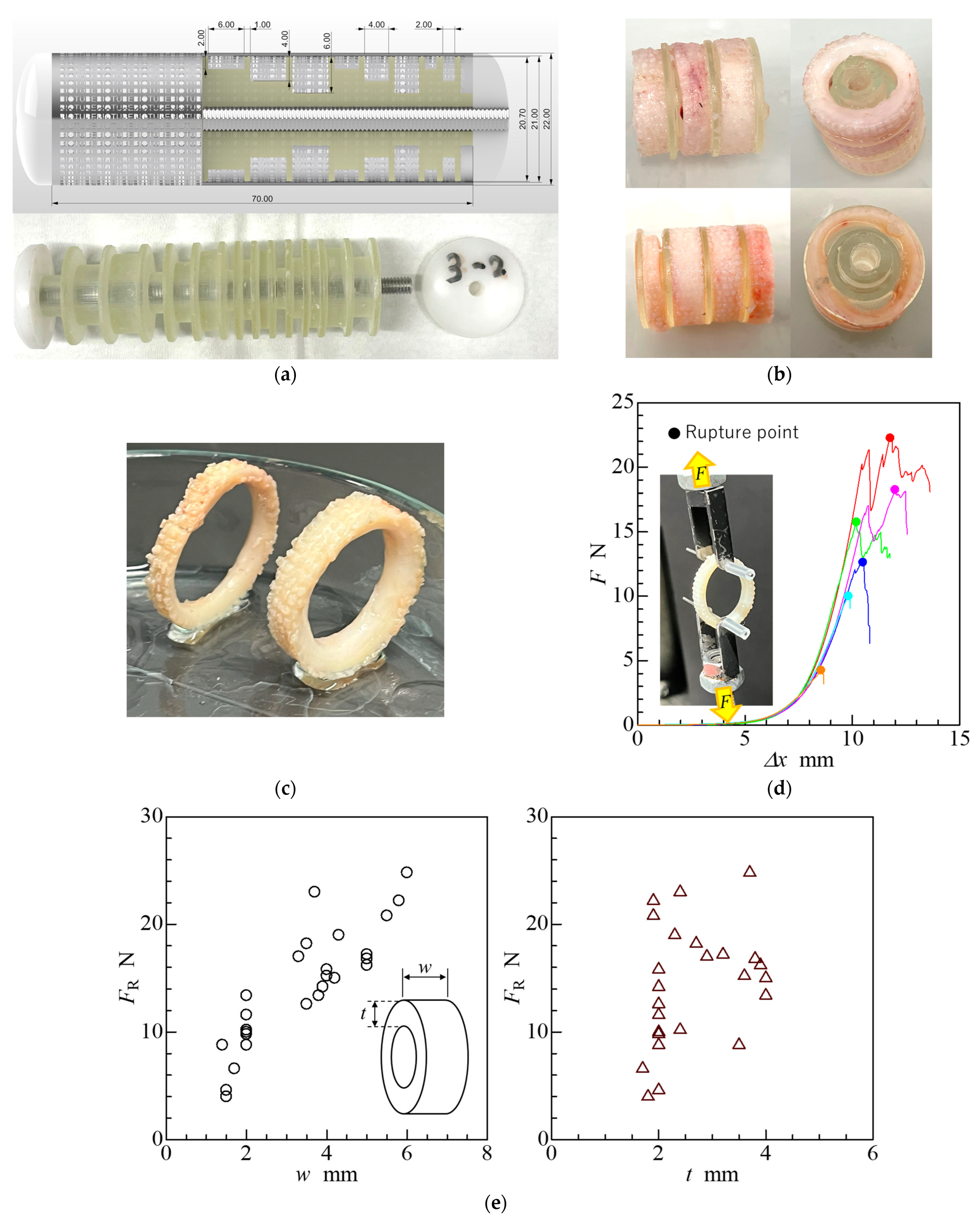 Bioengineering 11 00598 g003a