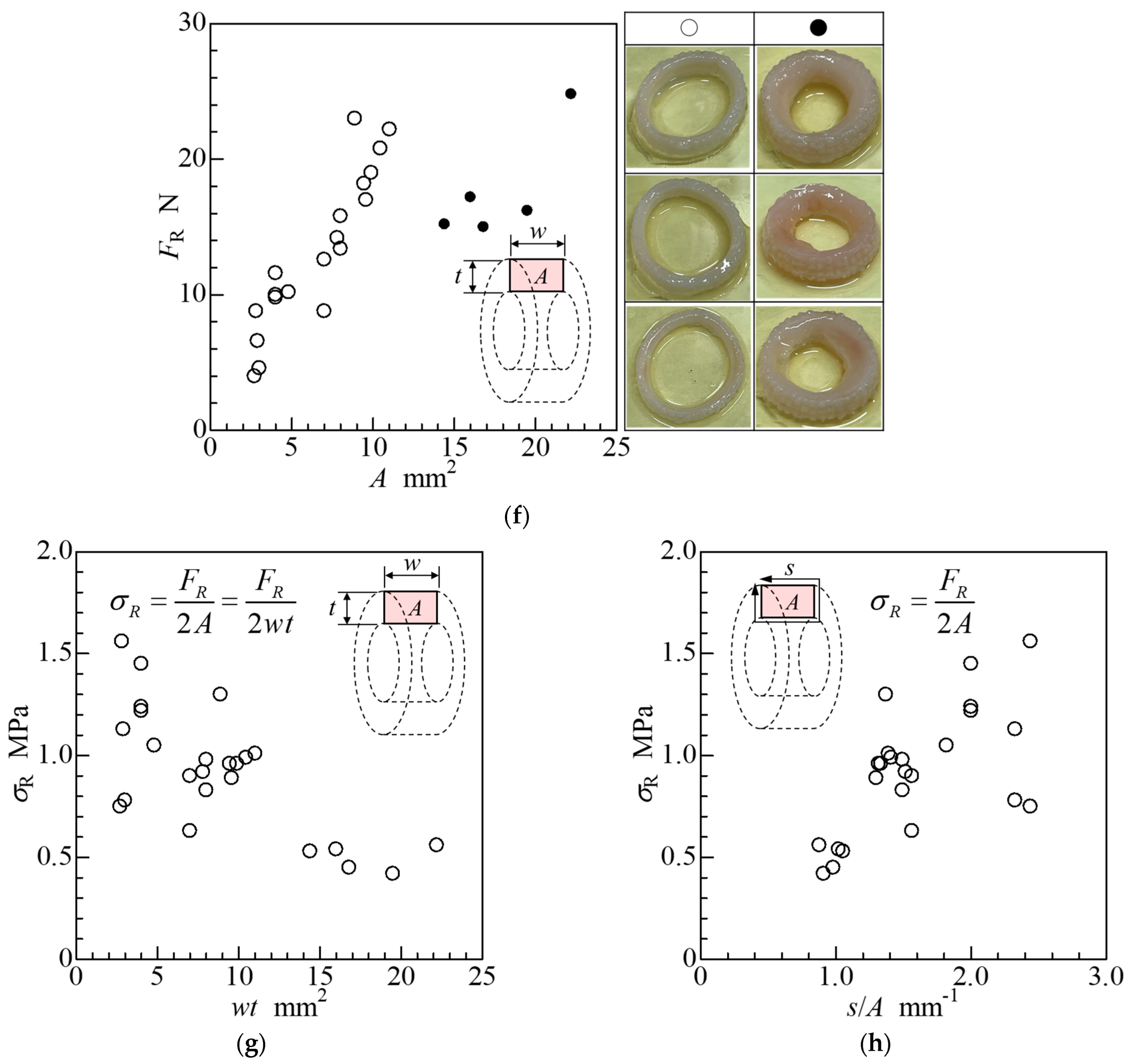 Bioengineering 11 00598 g003b