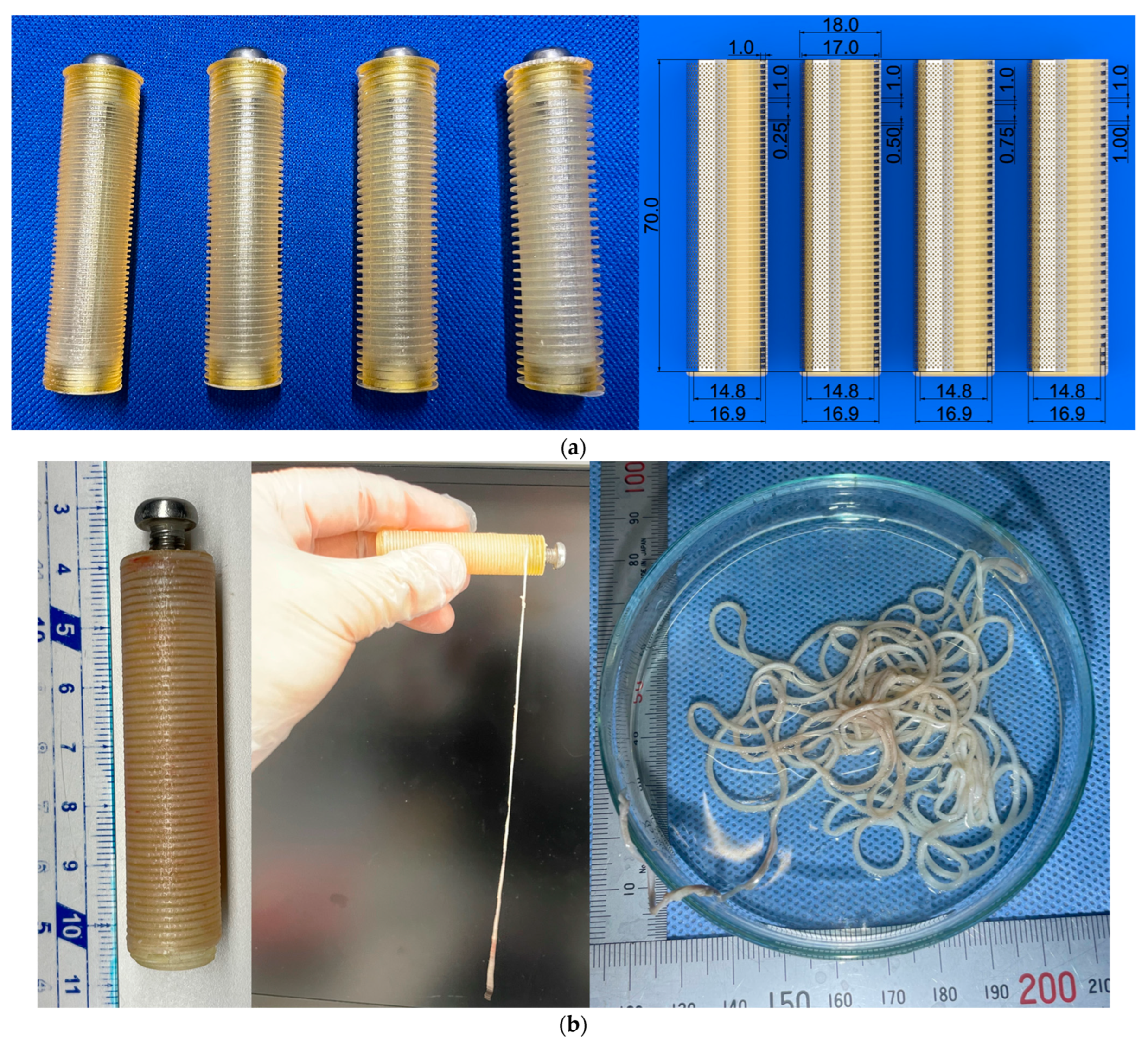 Bioengineering 11 00598 g004a