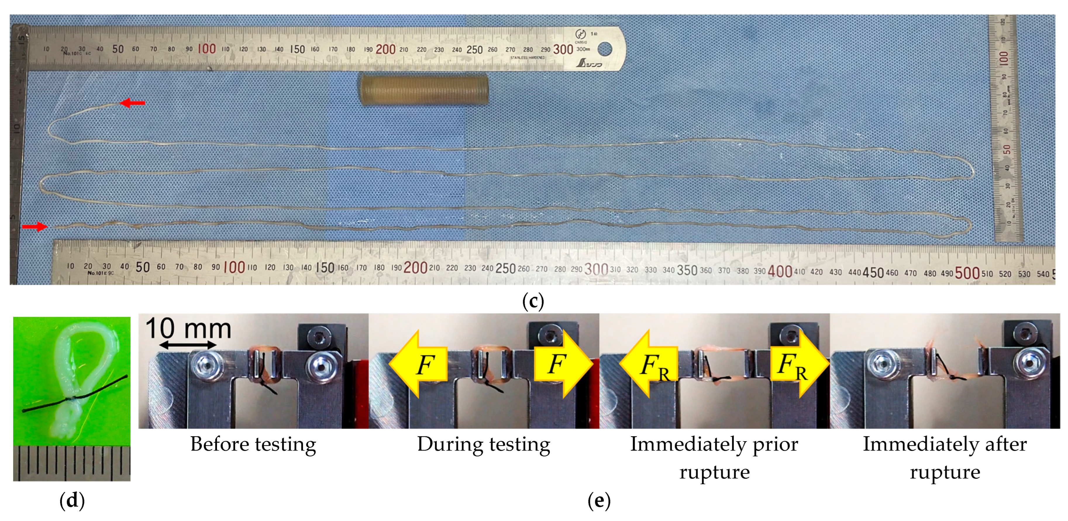Bioengineering 11 00598 g004b