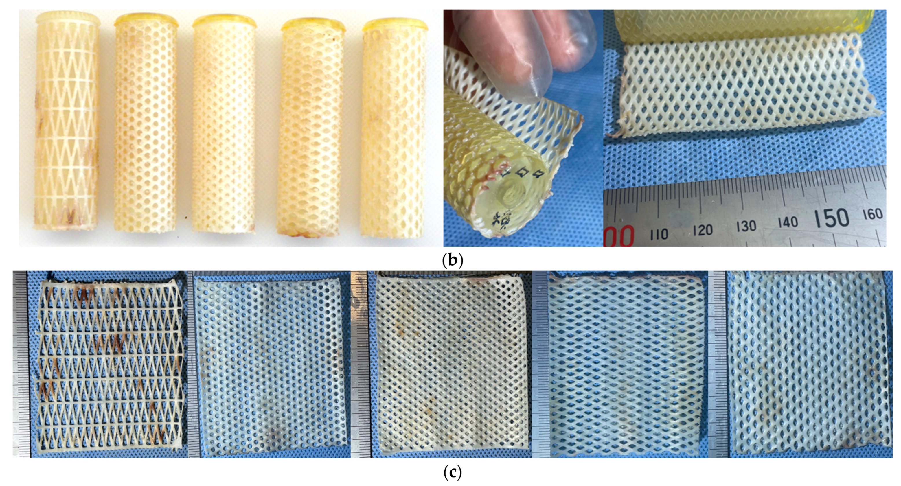 Bioengineering 11 00598 g005b