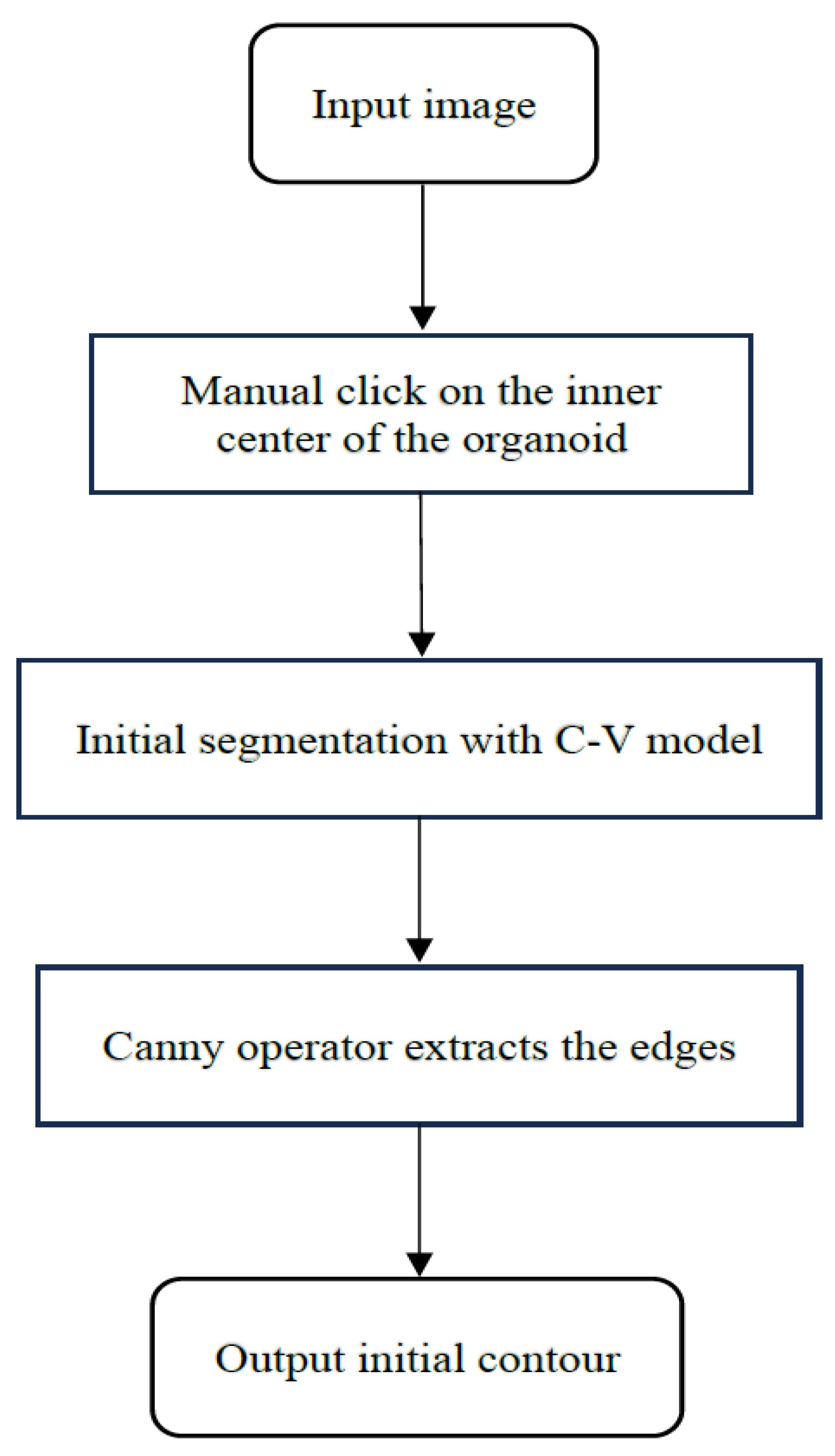 Bioengineering 11 00601 g003
