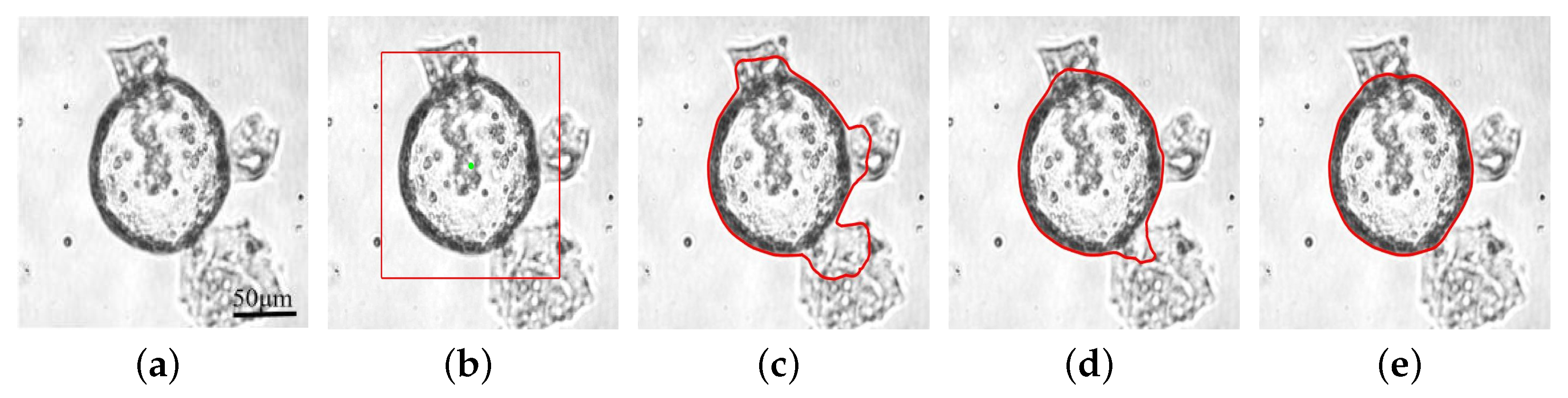 Bioengineering 11 00601 g004
