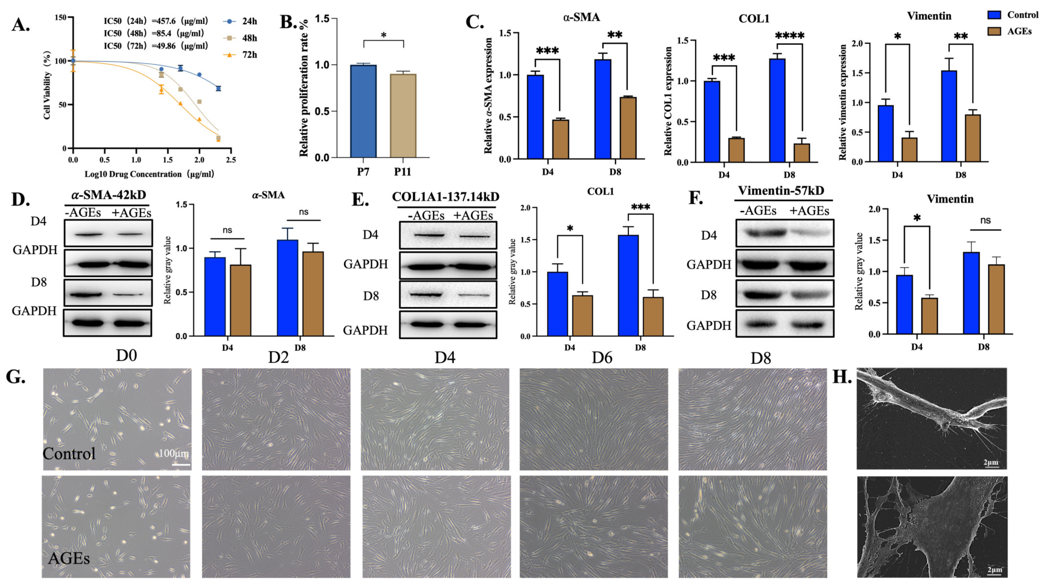Bioengineering 11 00602 g002
