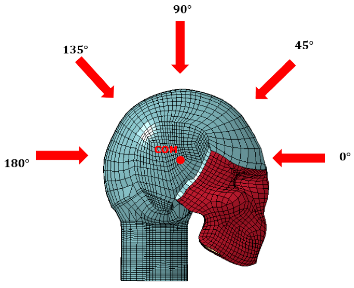 Bioengineering 11 00604 g002
