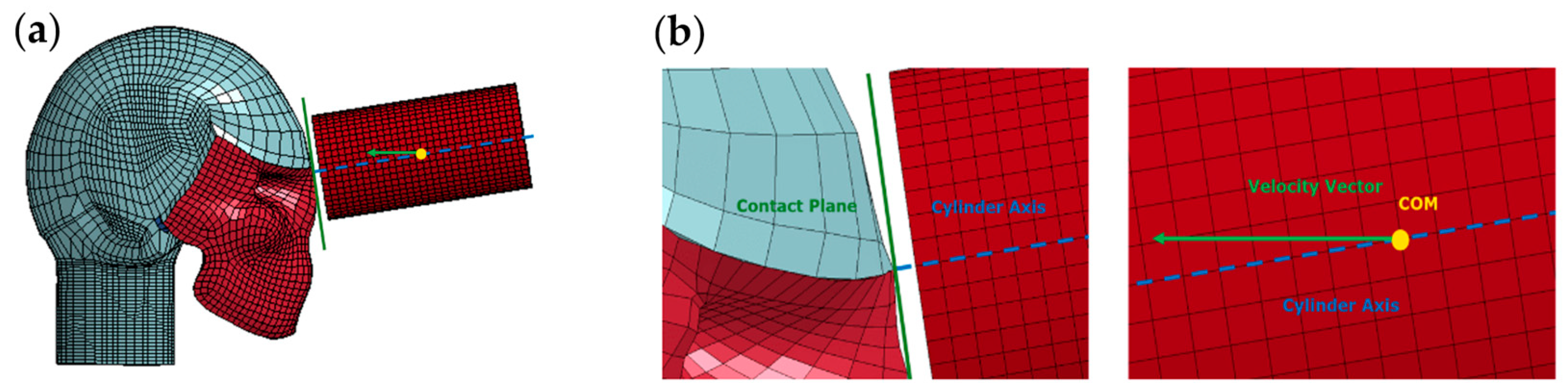 Bioengineering 11 00604 g003