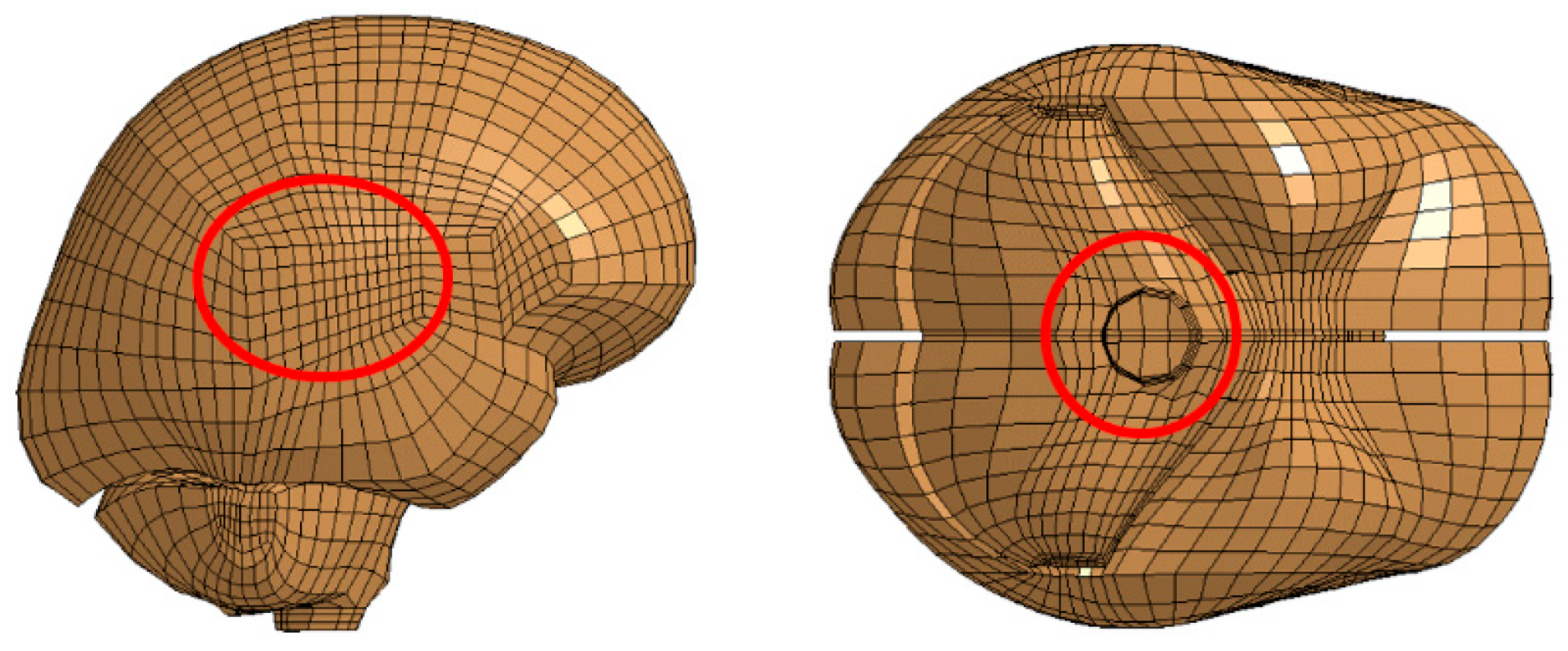Bioengineering 11 00604 g004