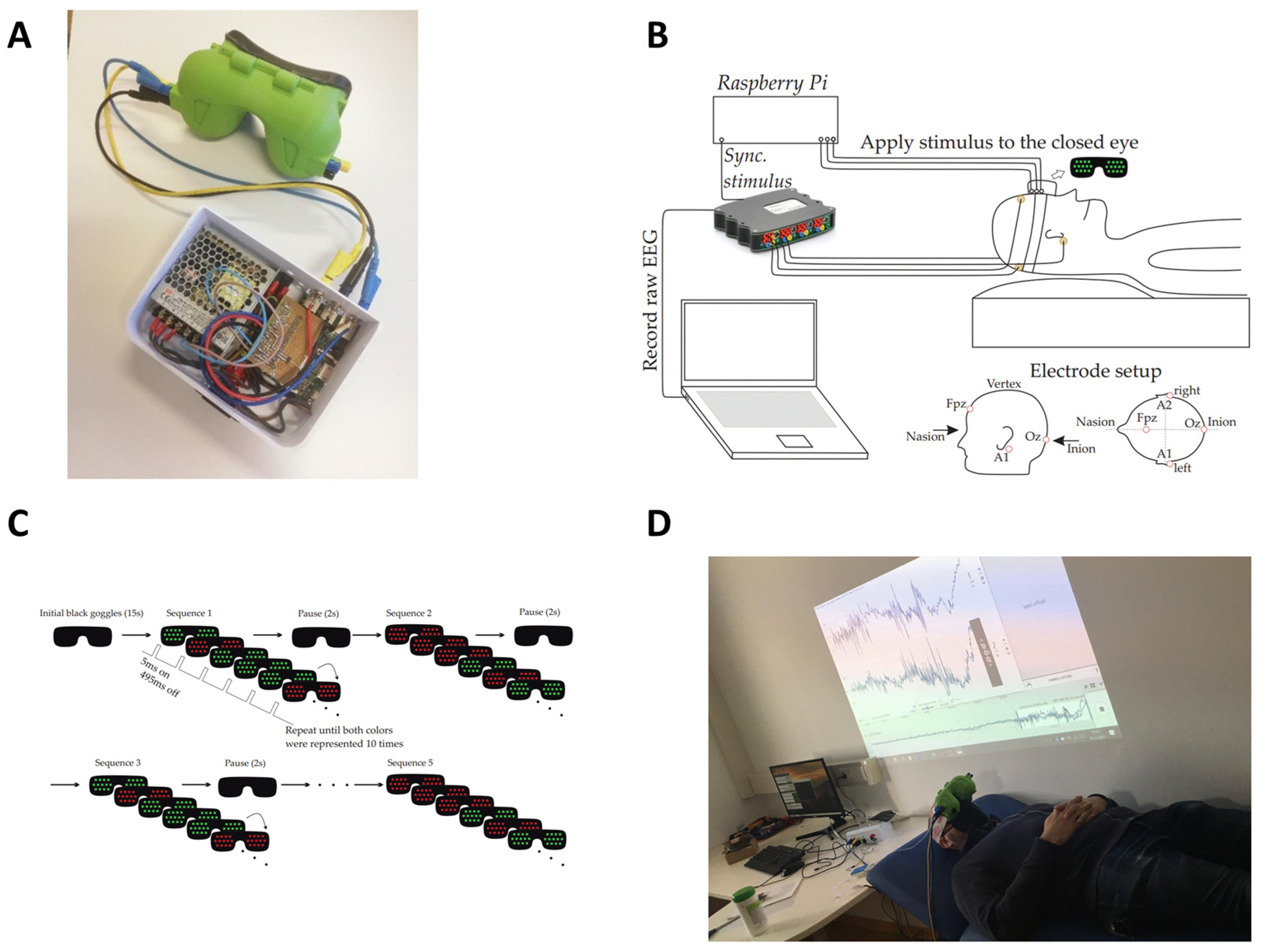 Bioengineering 11 00605 g001