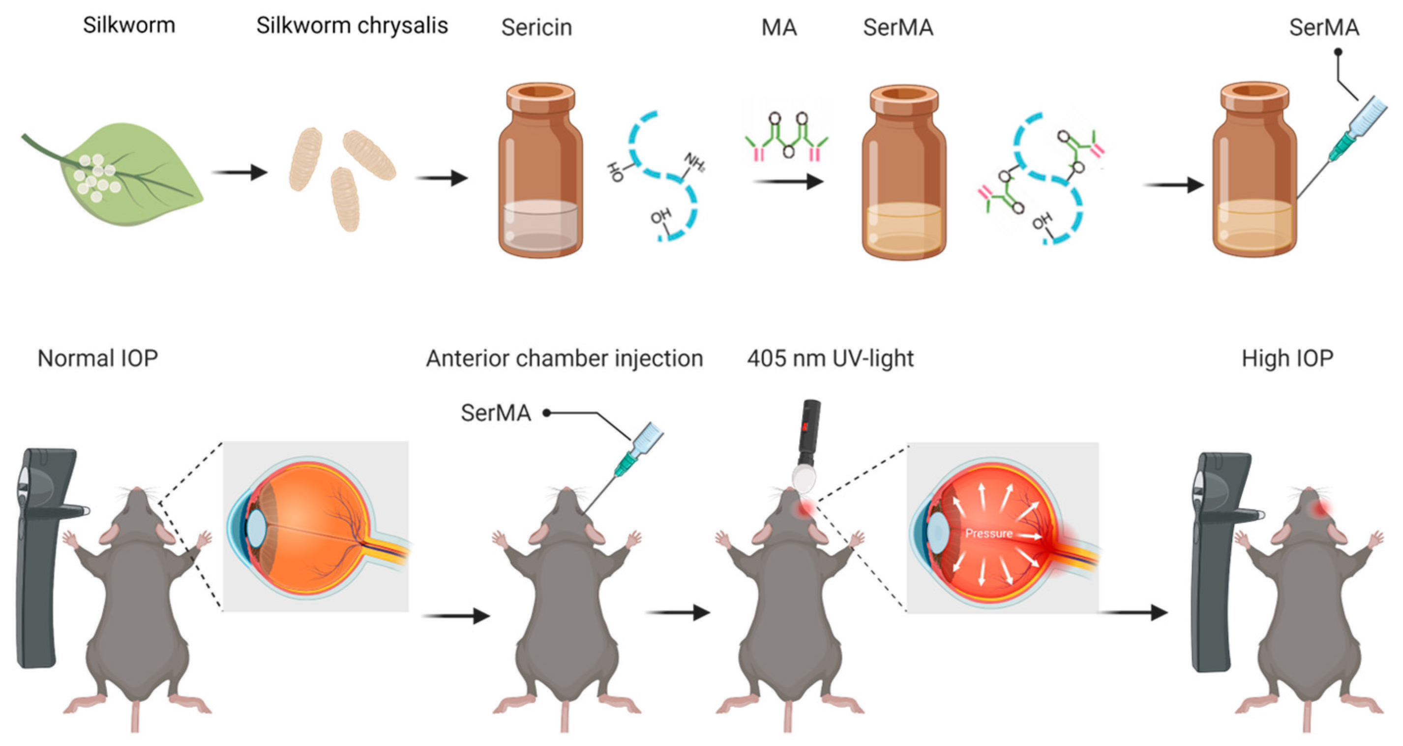 Bioengineering 11 00607 g001