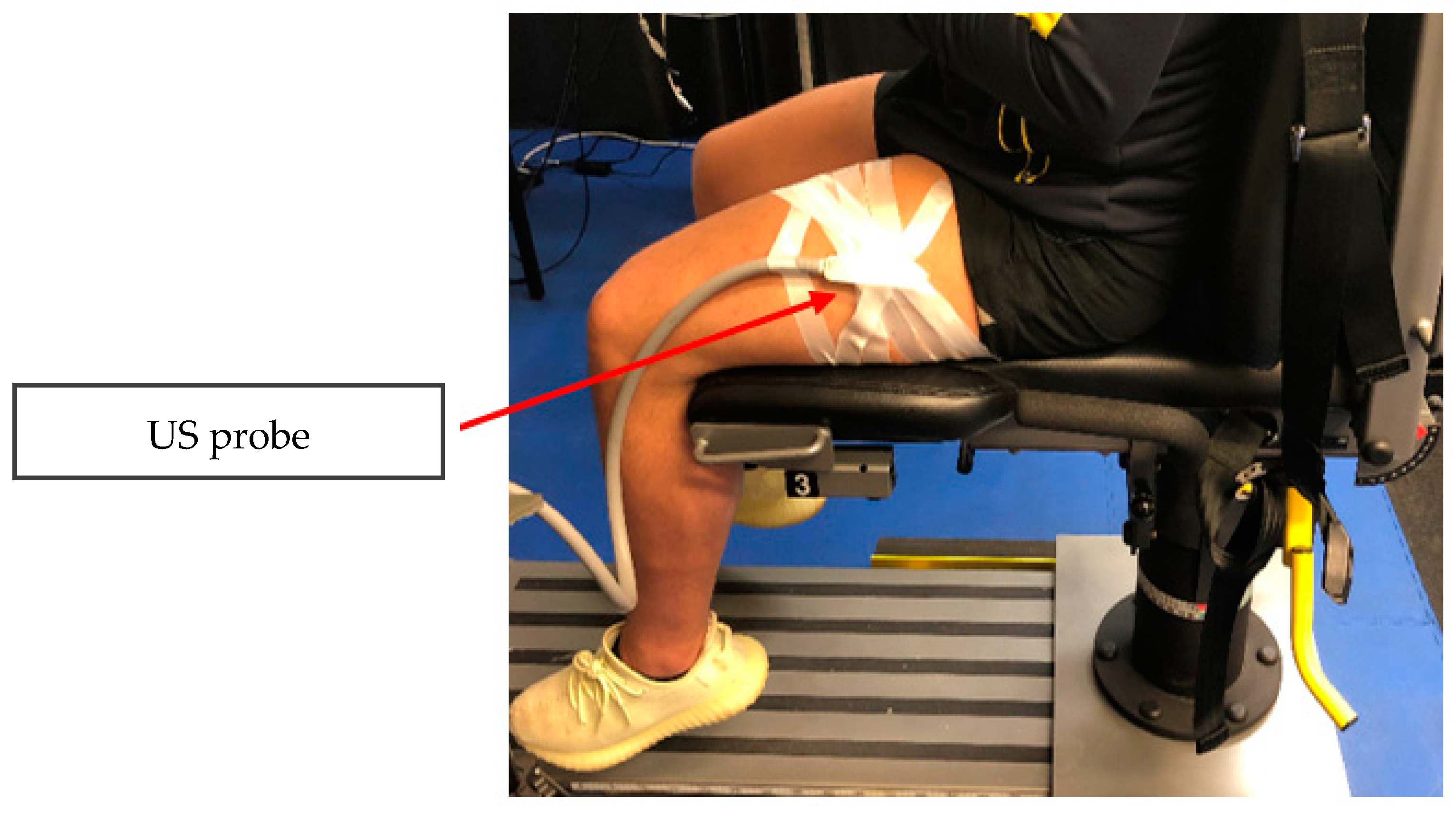 Bioengineering 11 00608 g003