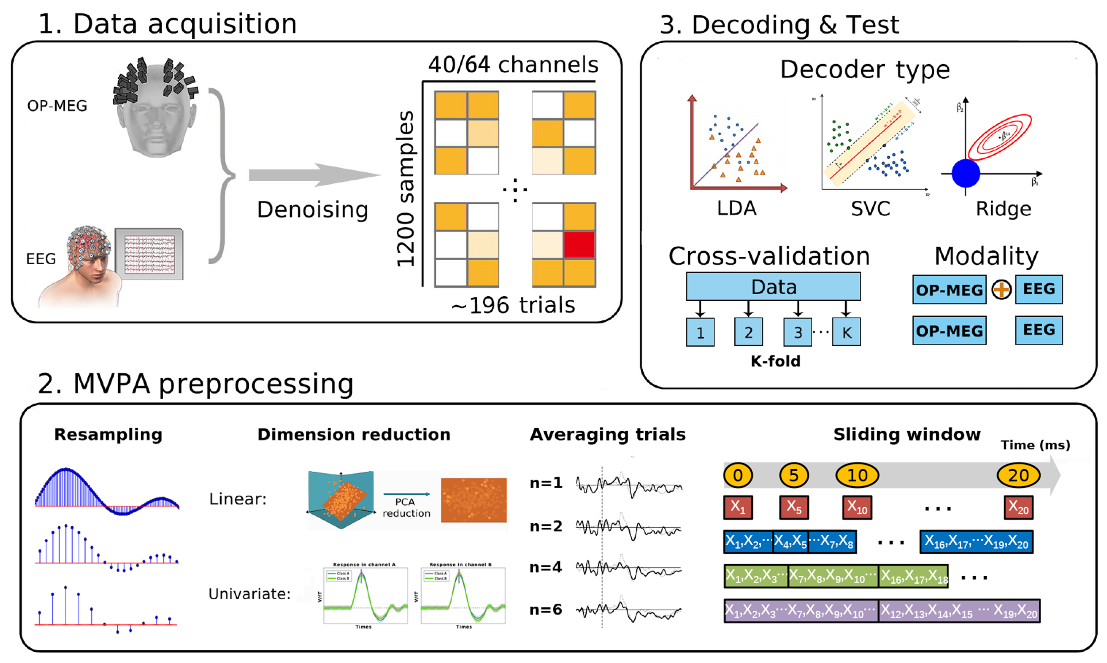 Bioengineering 11 00609 g002