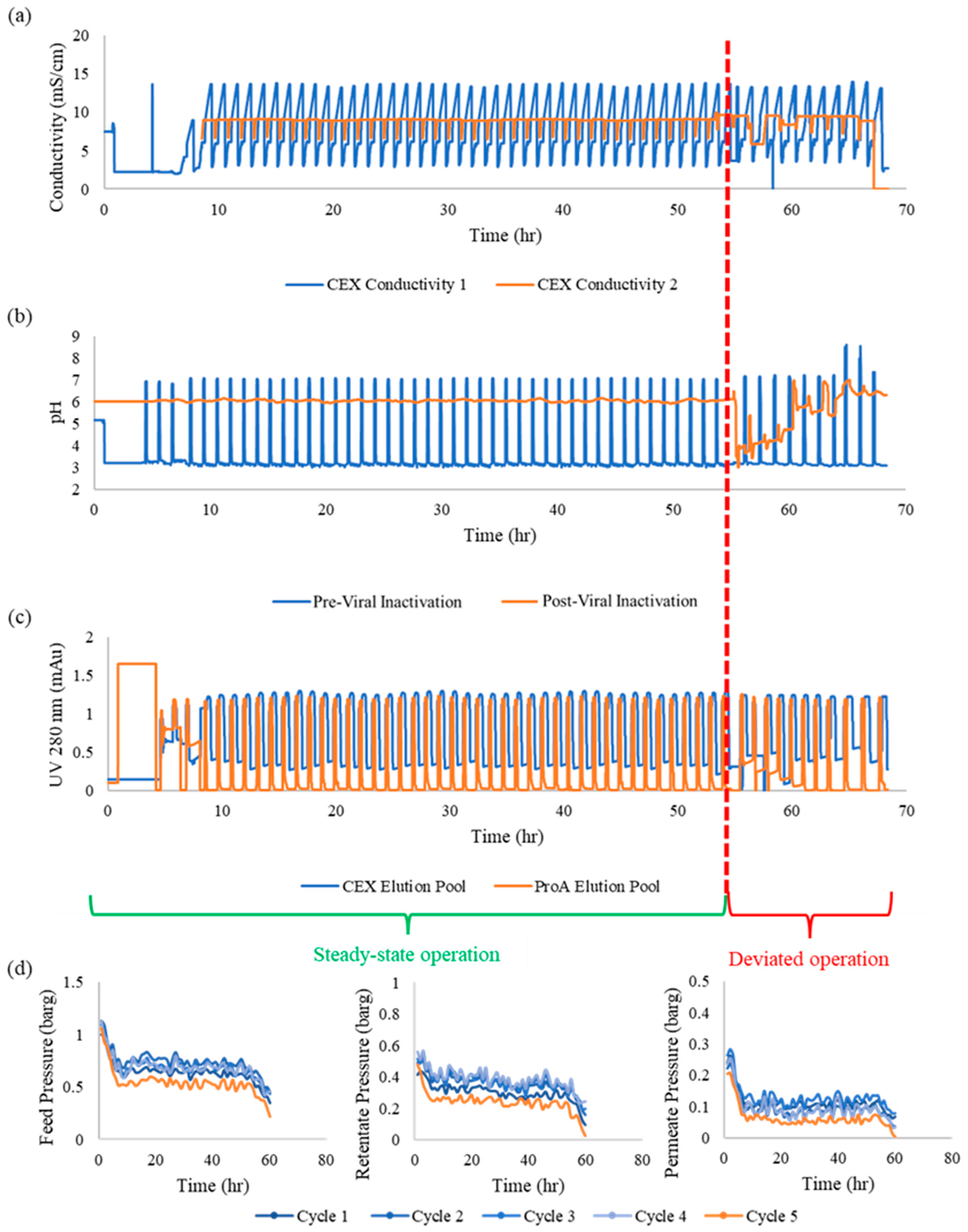 Bioengineering 11 00610 g005