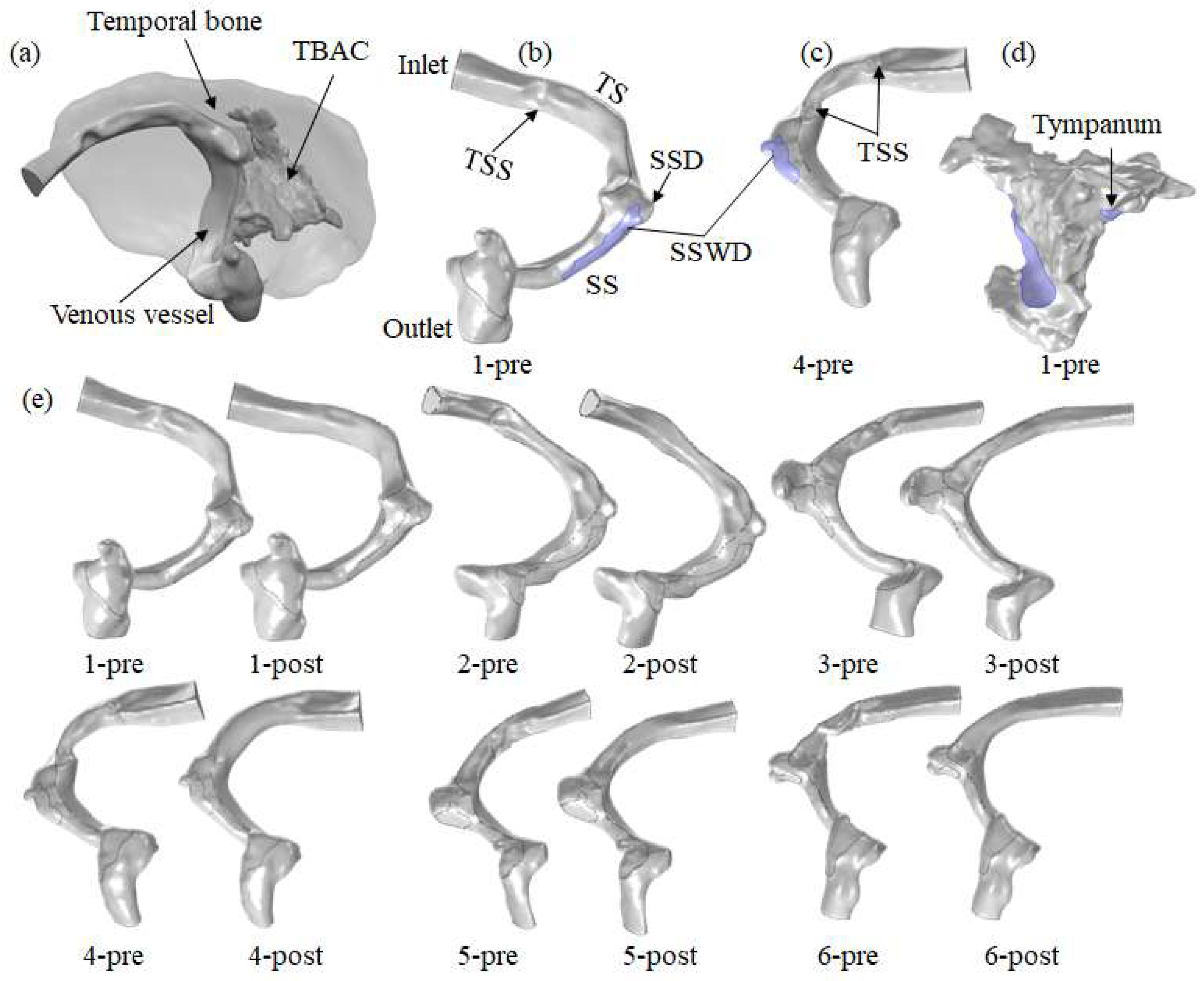 Bioengineering 11 00612 g001