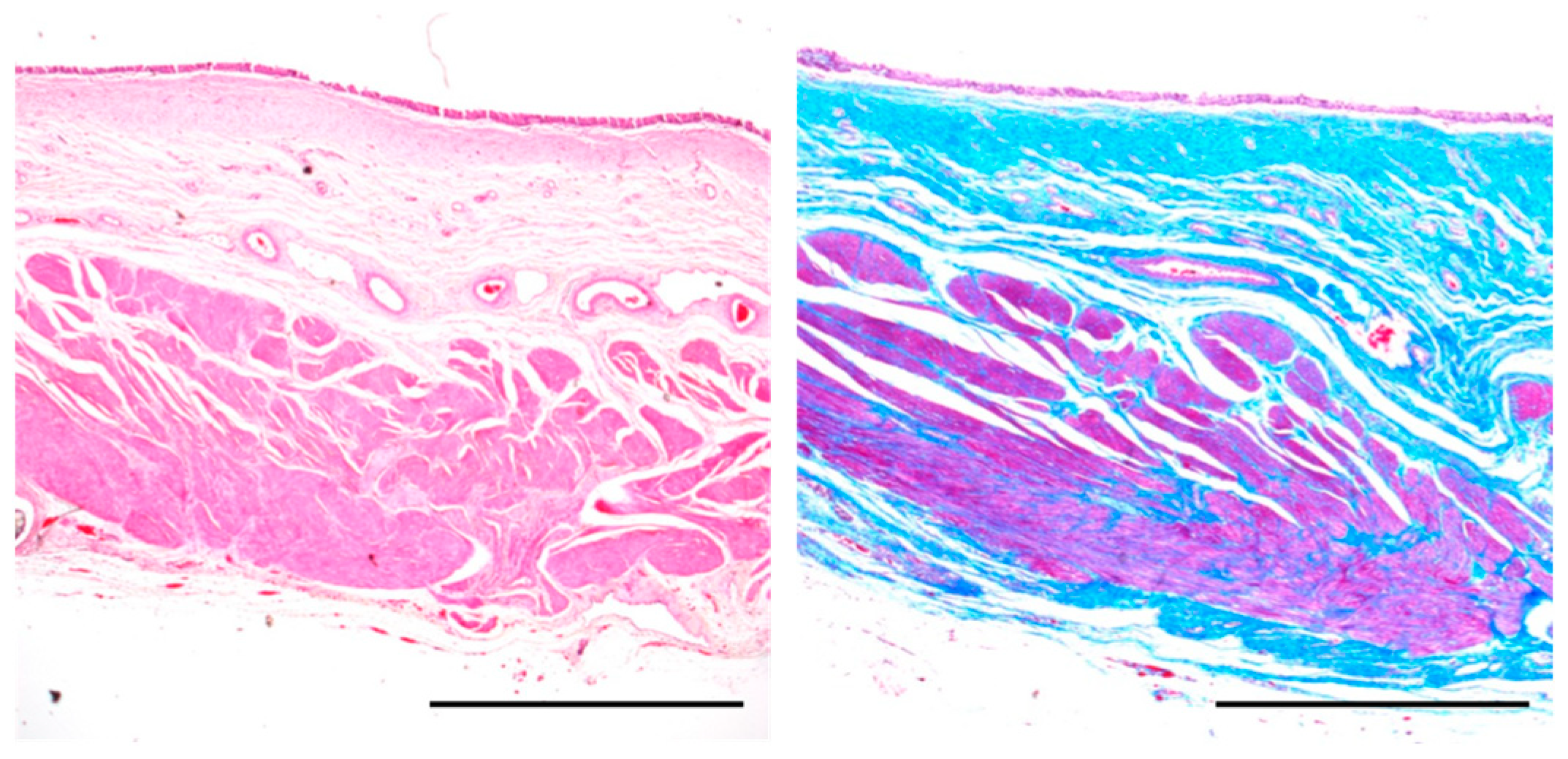 Bioengineering 11 00615 g0a1