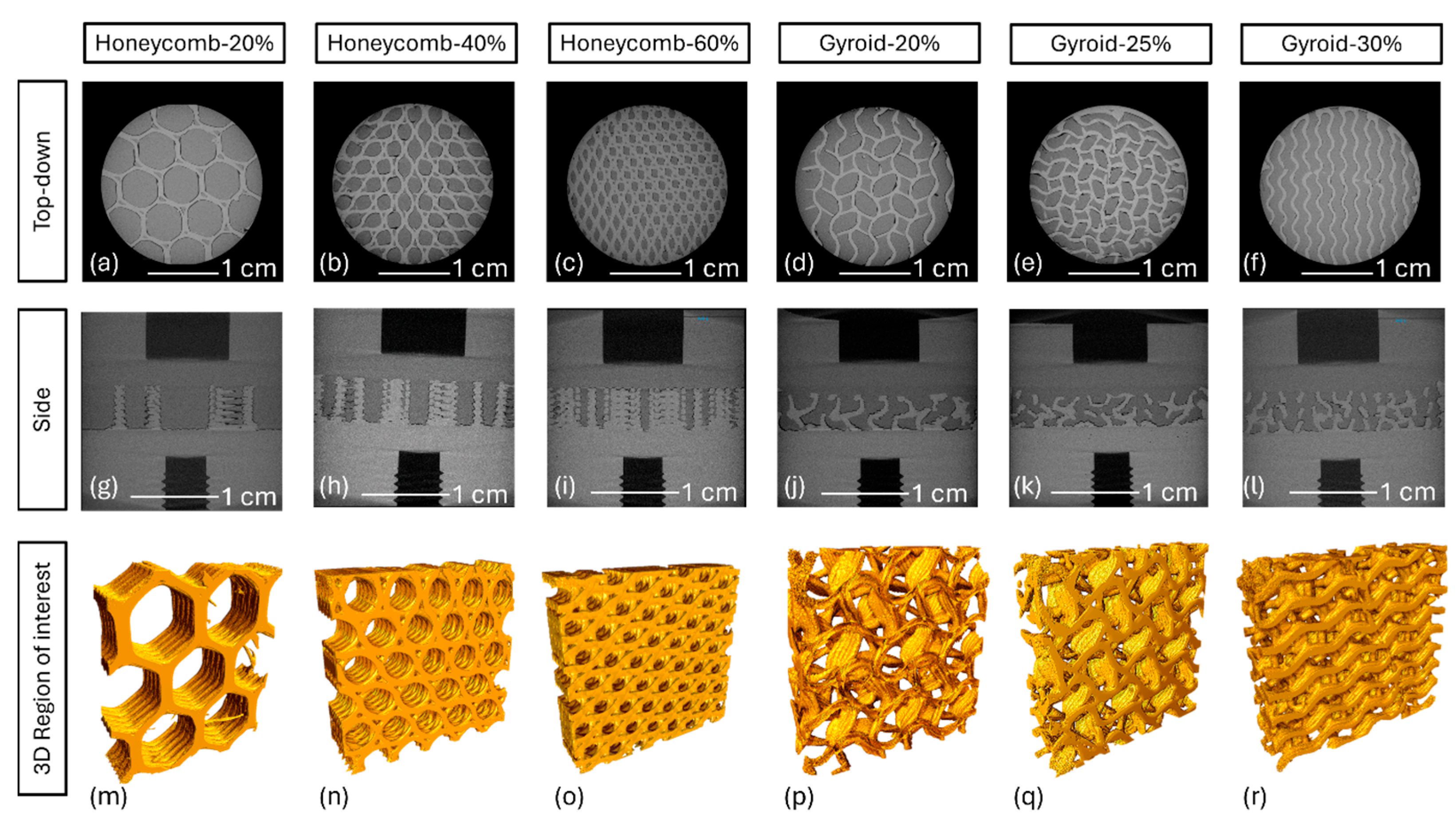 Bioengineering 11 00616 g006
