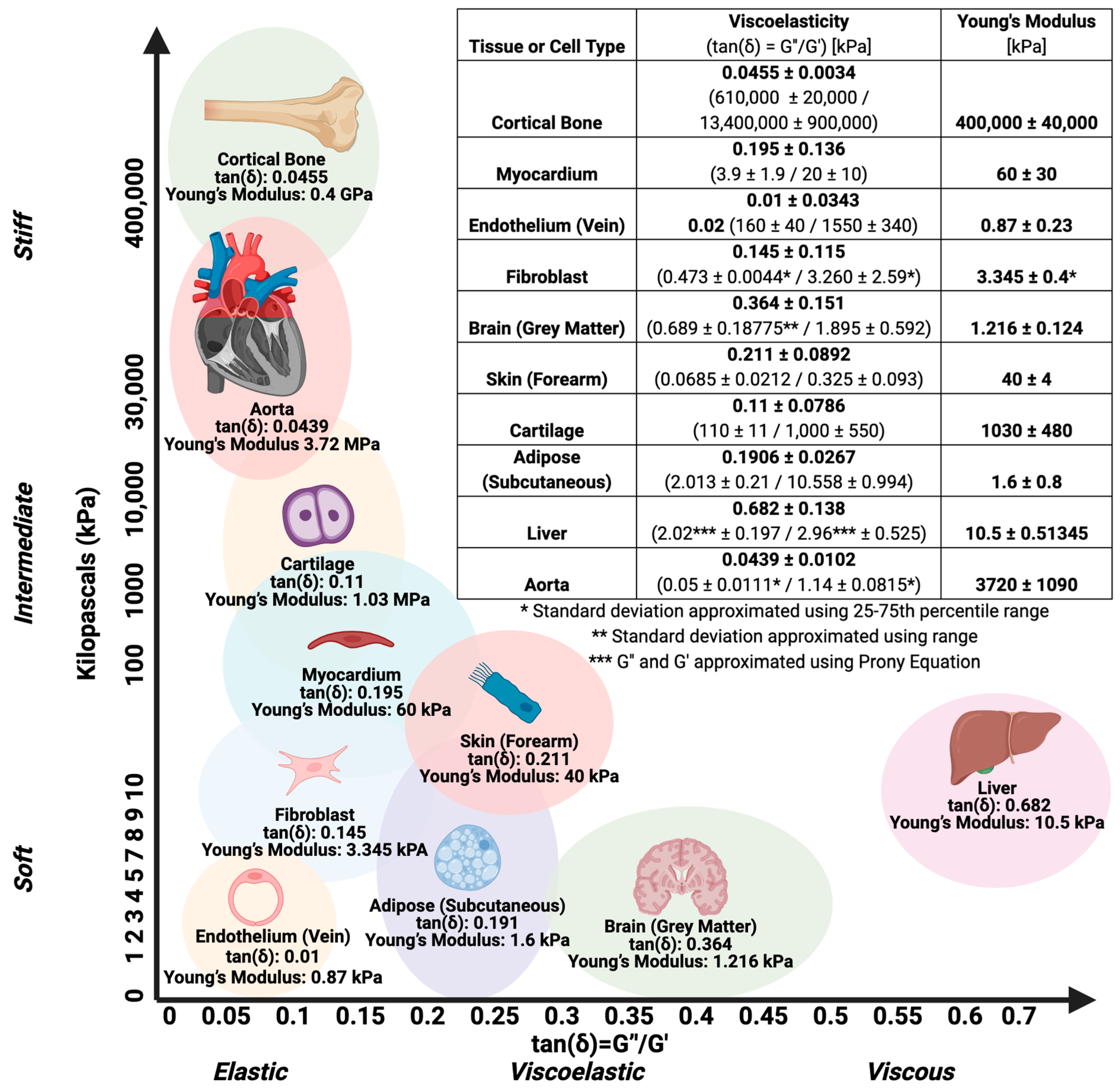 Bioengineering 11 00619 g001