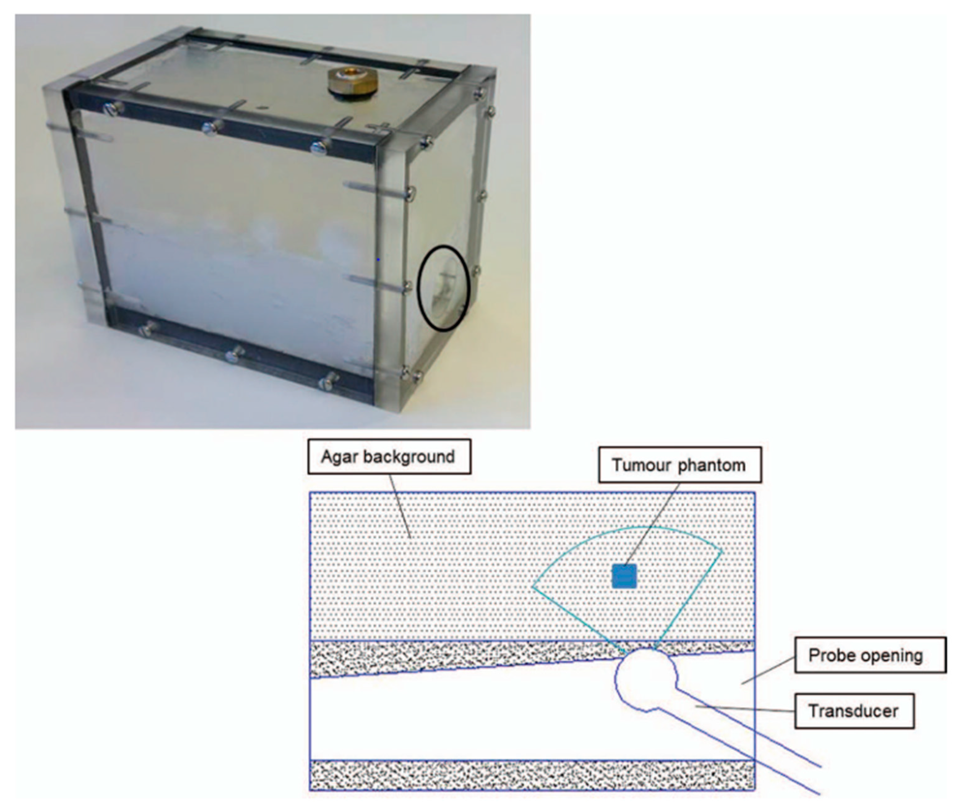 Bioengineering 11 00620 g003