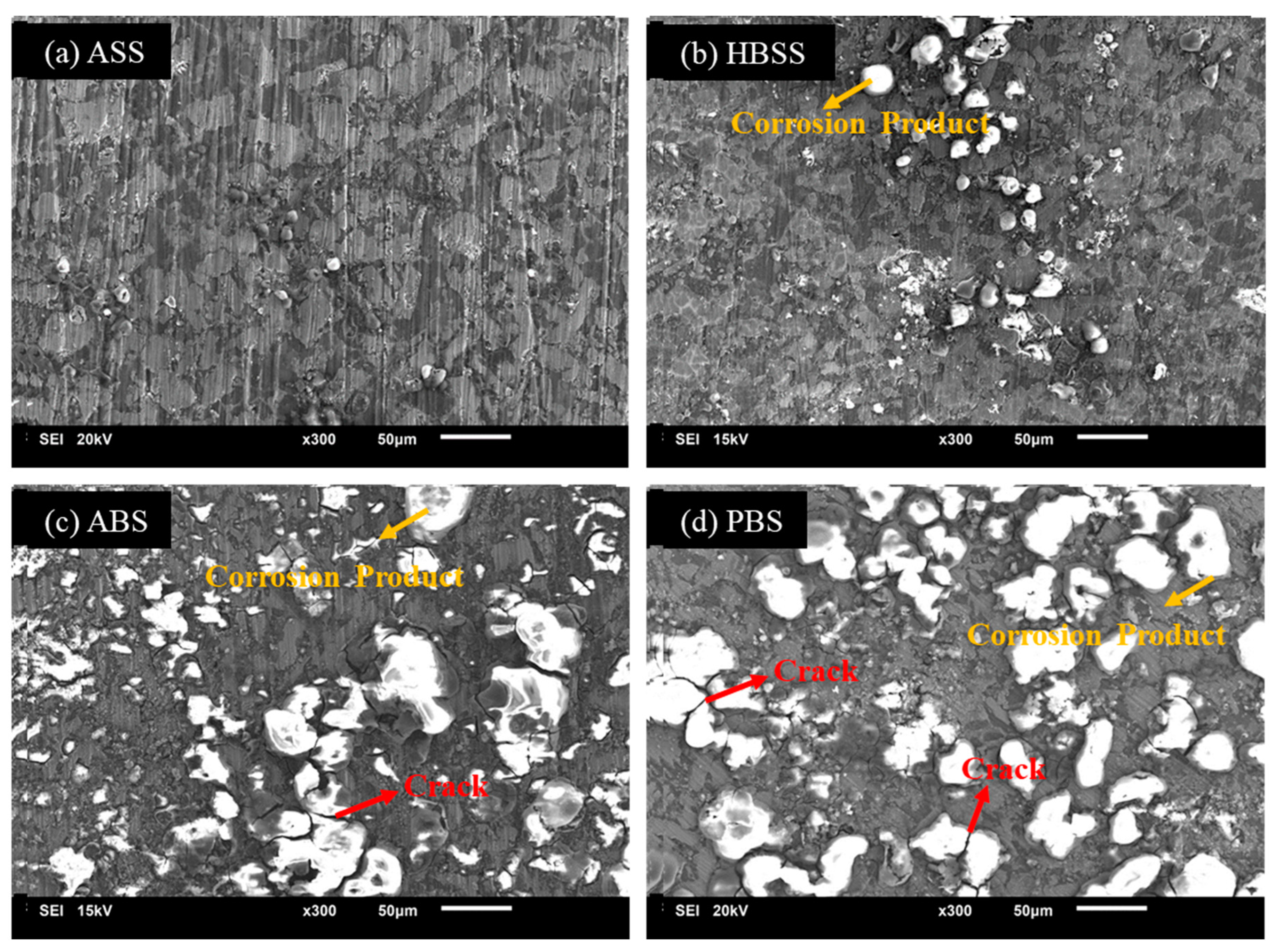 Bioengineering 11 00621 g003