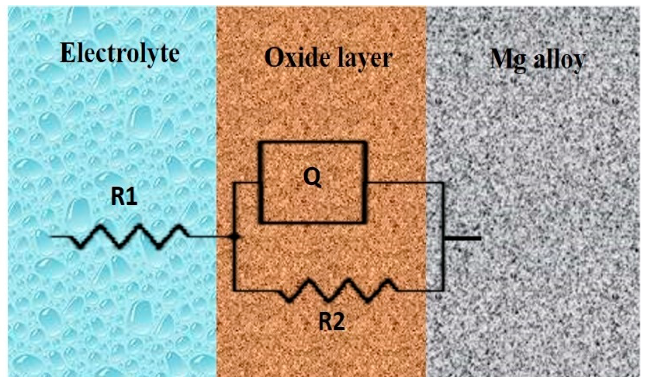 Bioengineering 11 00621 g007