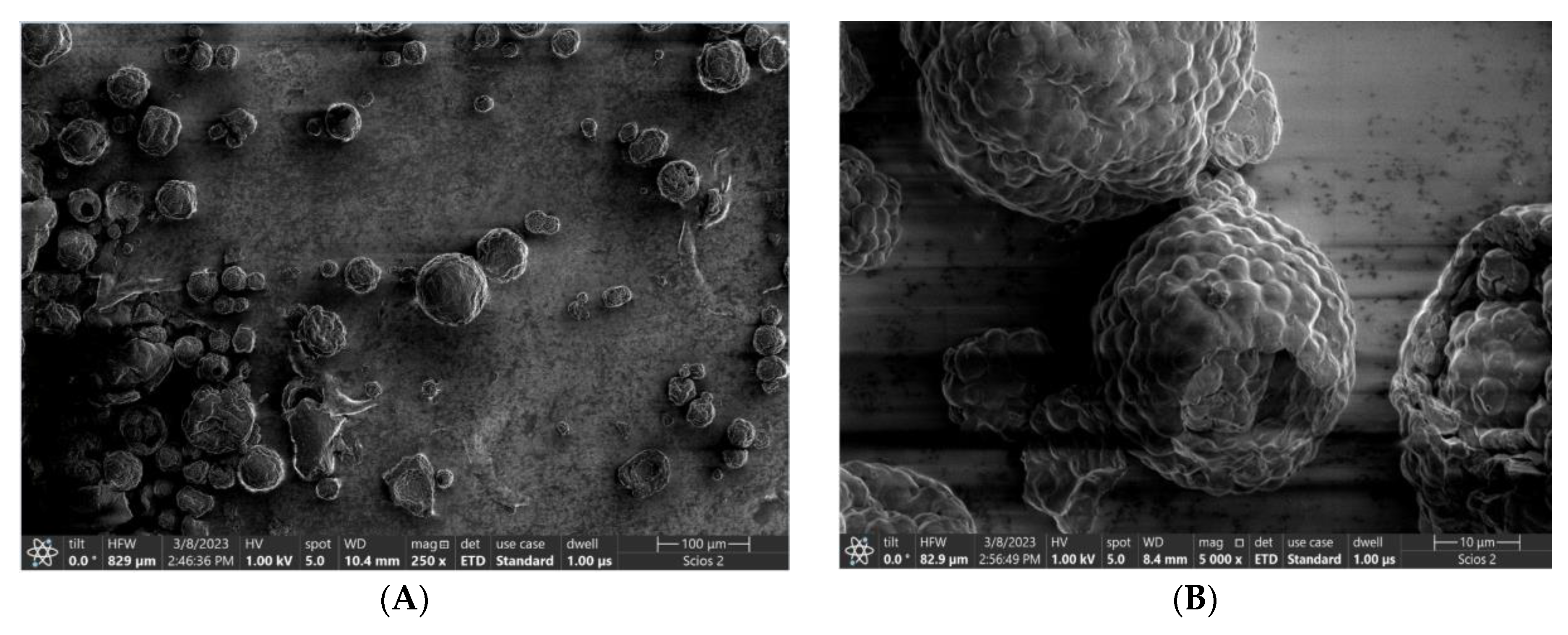 Bioengineering 11 00623 g008a