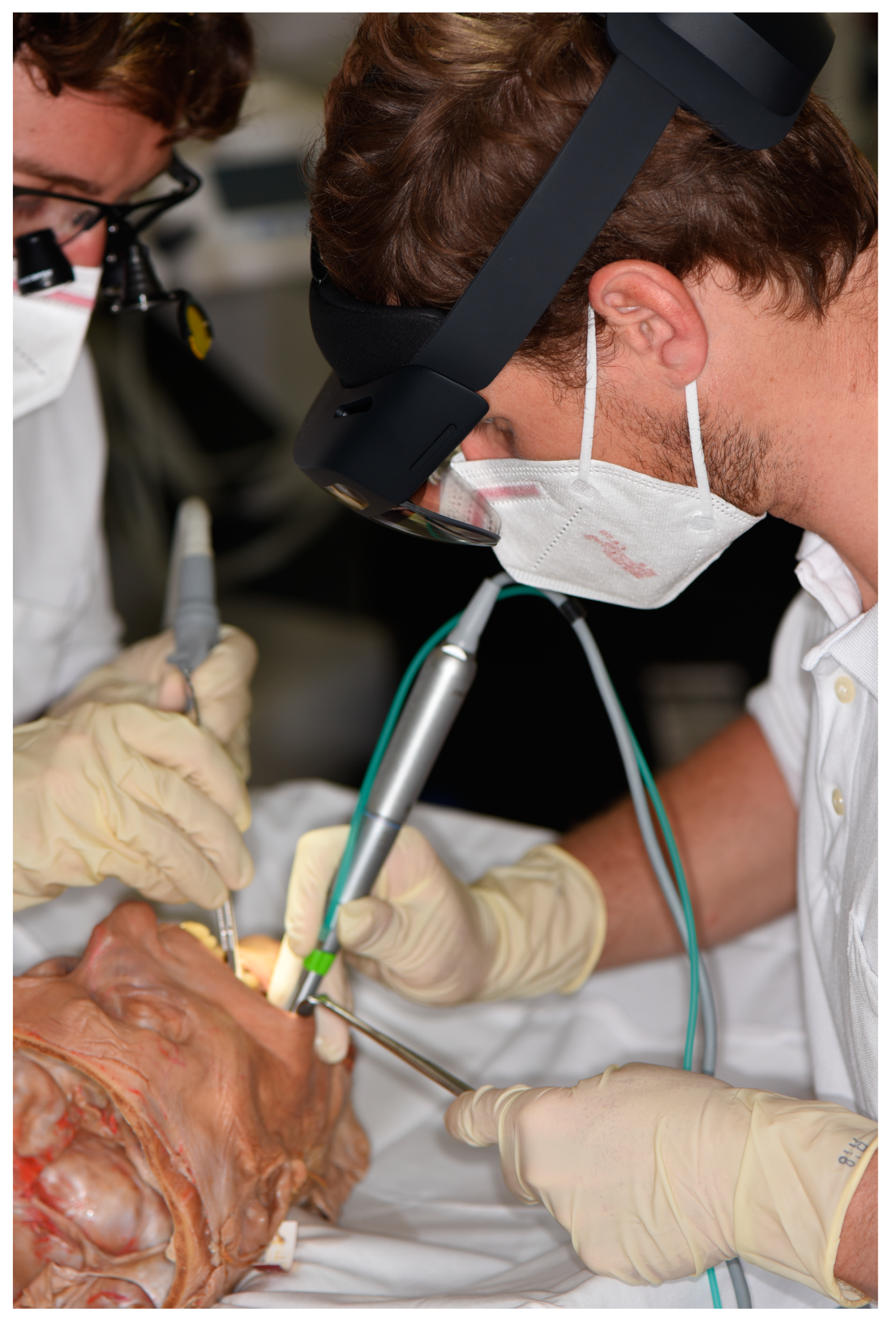 Bioengineering 11 00625 g002