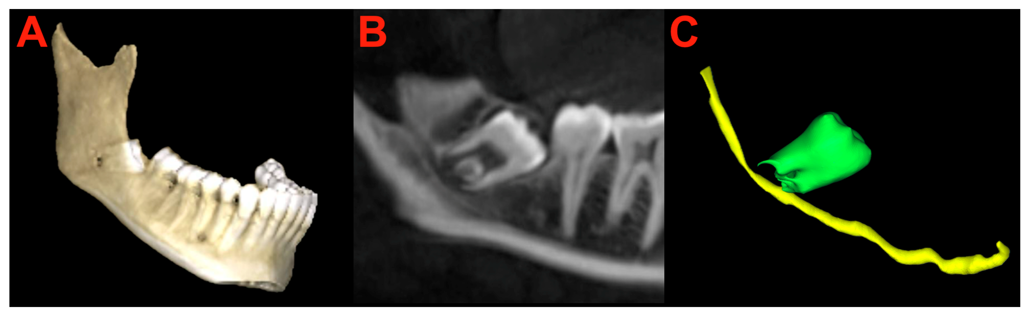 Bioengineering 11 00625 g004