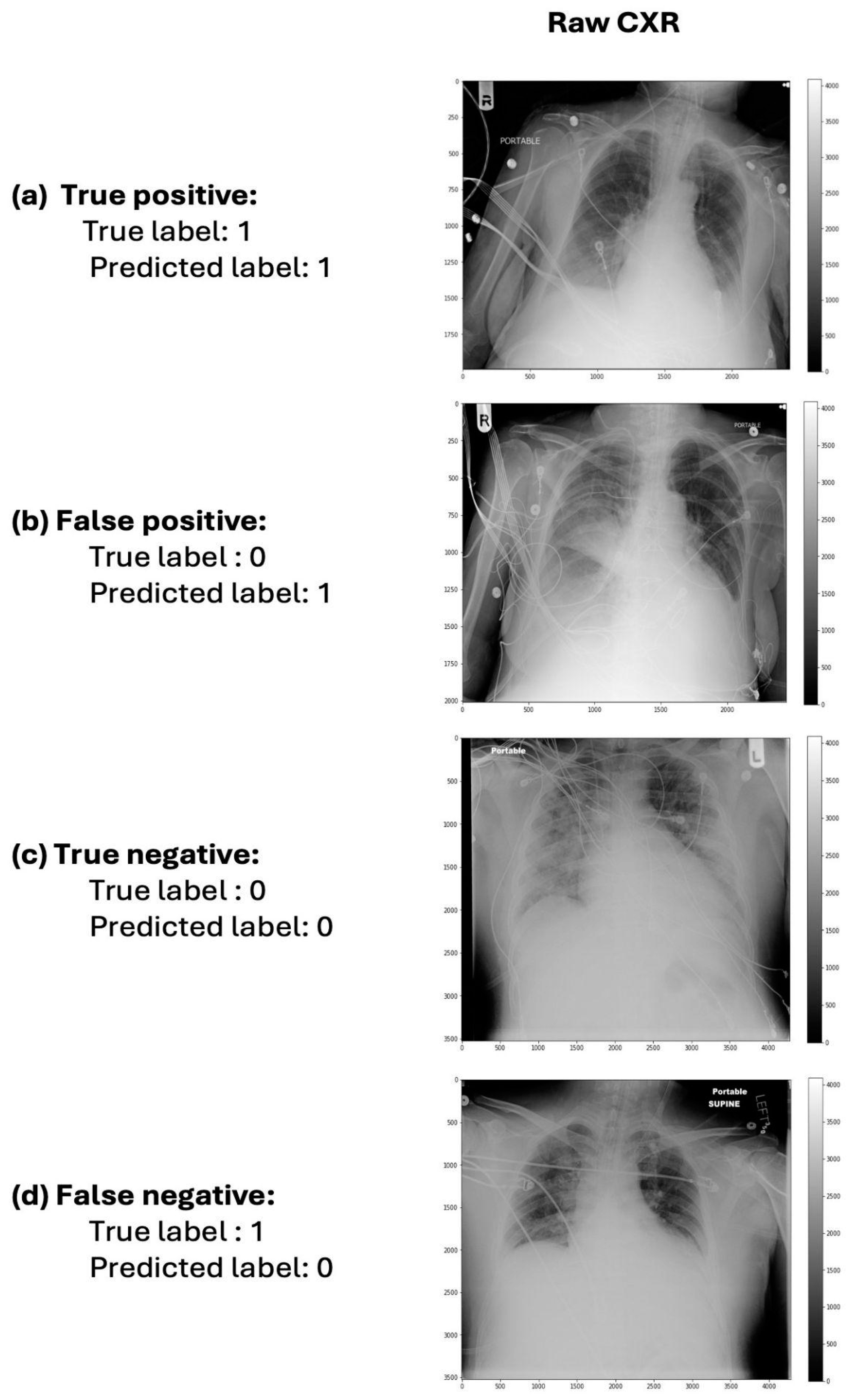 Bioengineering 11 00626 g0a1