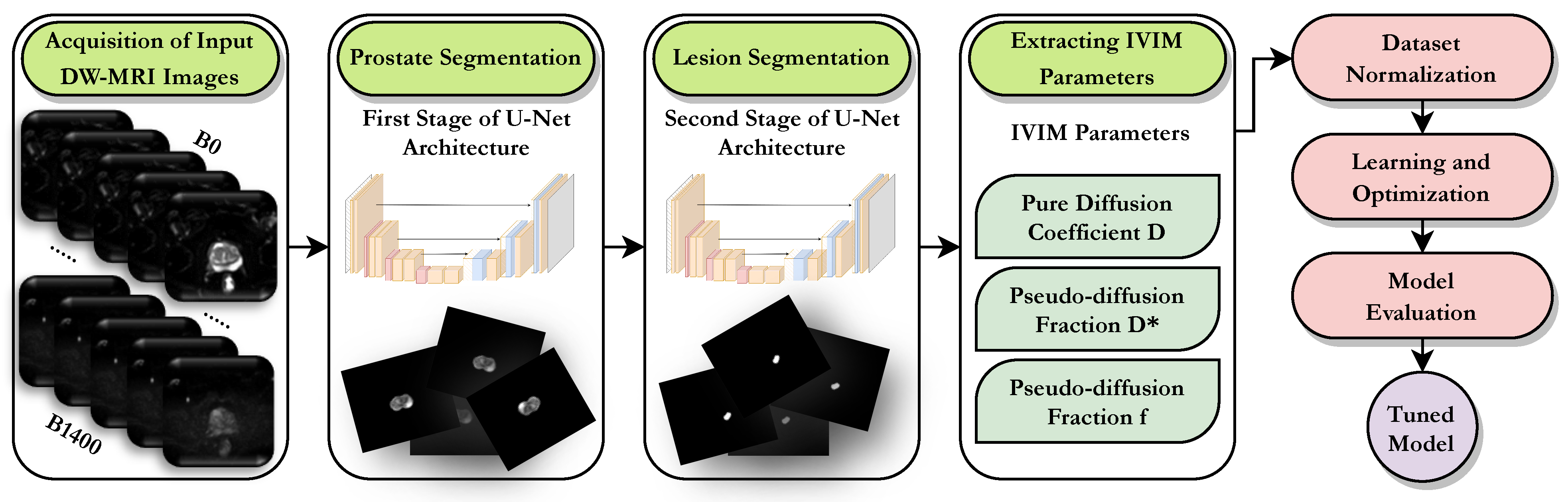 Bioengineering 11 00629 g001