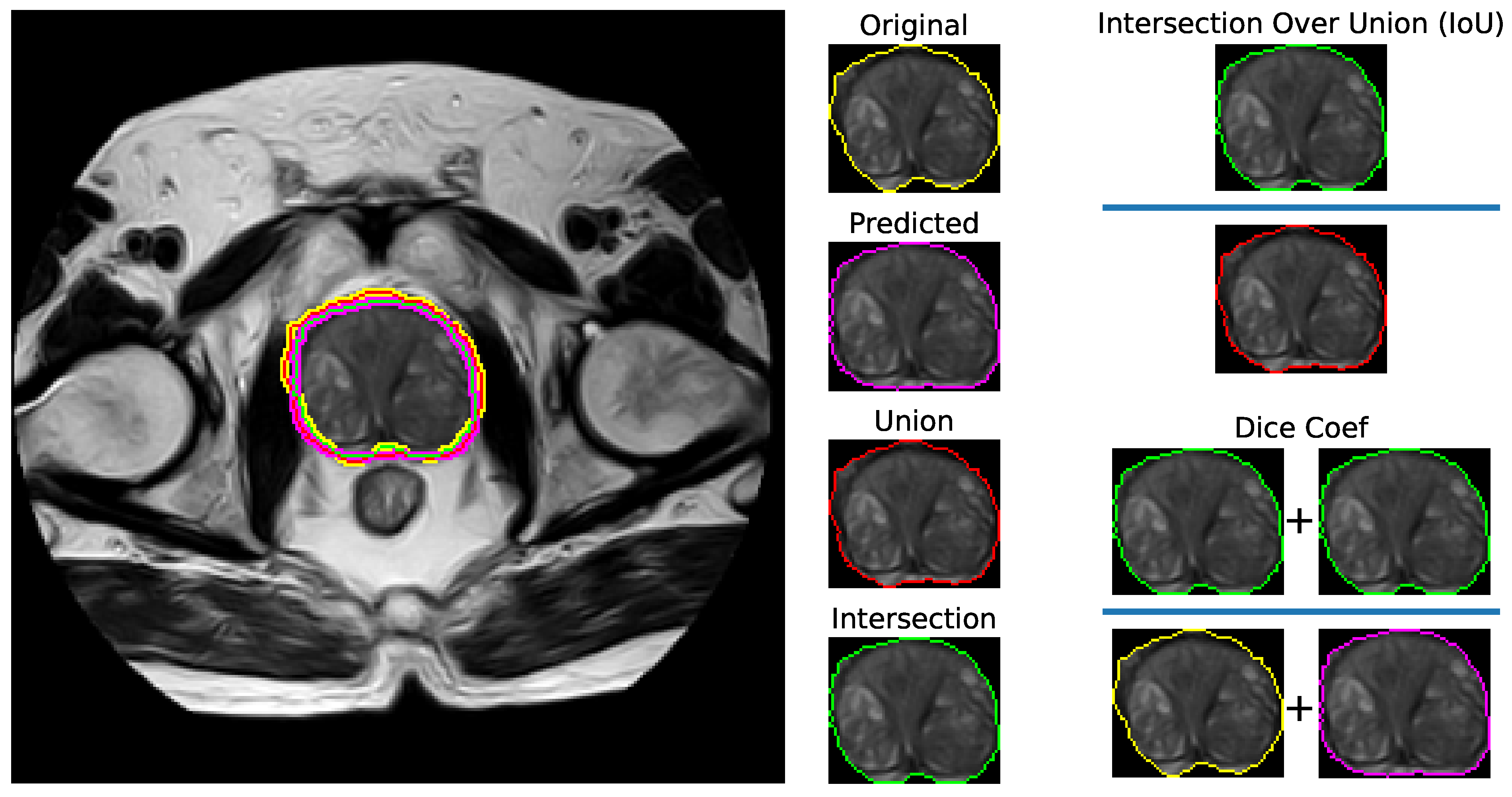 Bioengineering 11 00629 g004