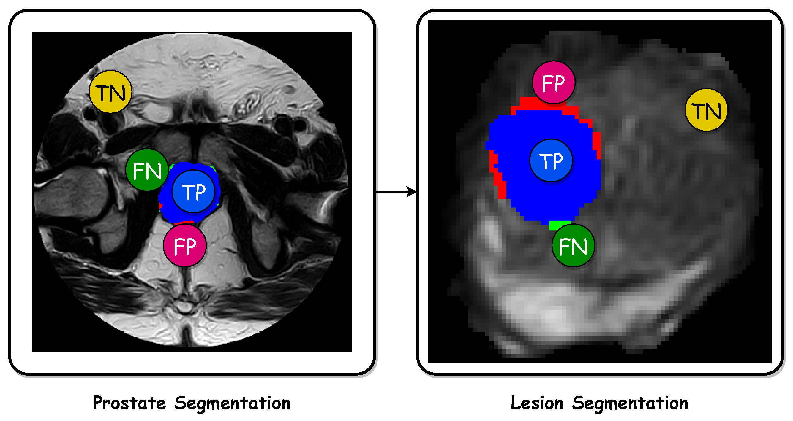 Bioengineering 11 00629 g005