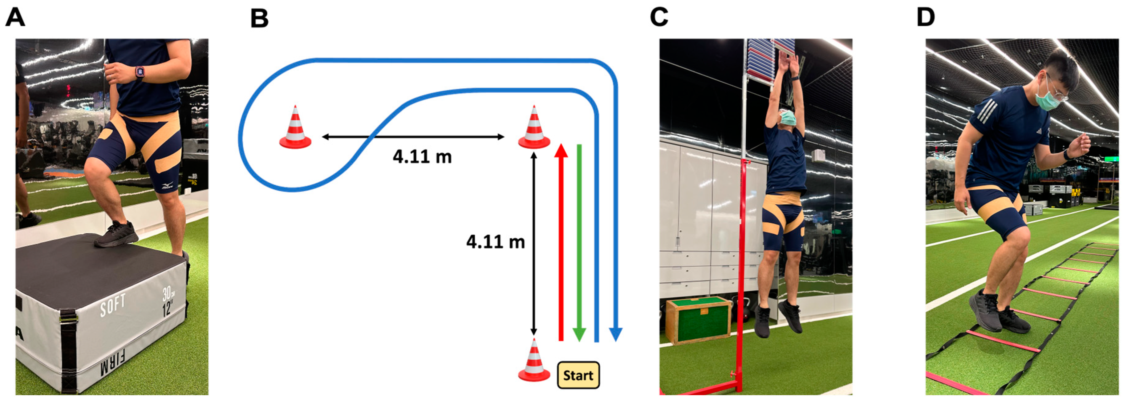 Bioengineering 11 00631 g002