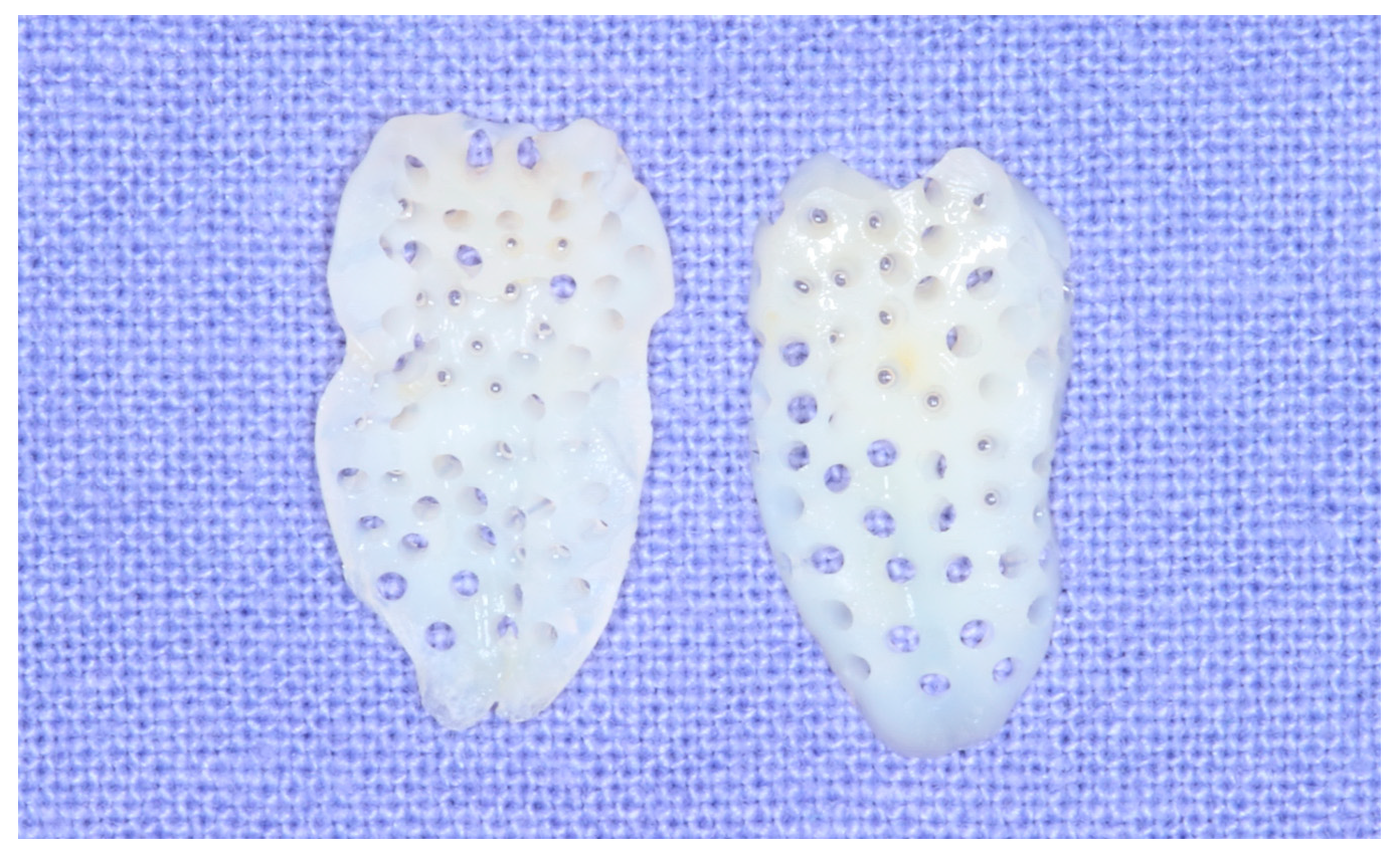 Bioengineering 11 00633 g002