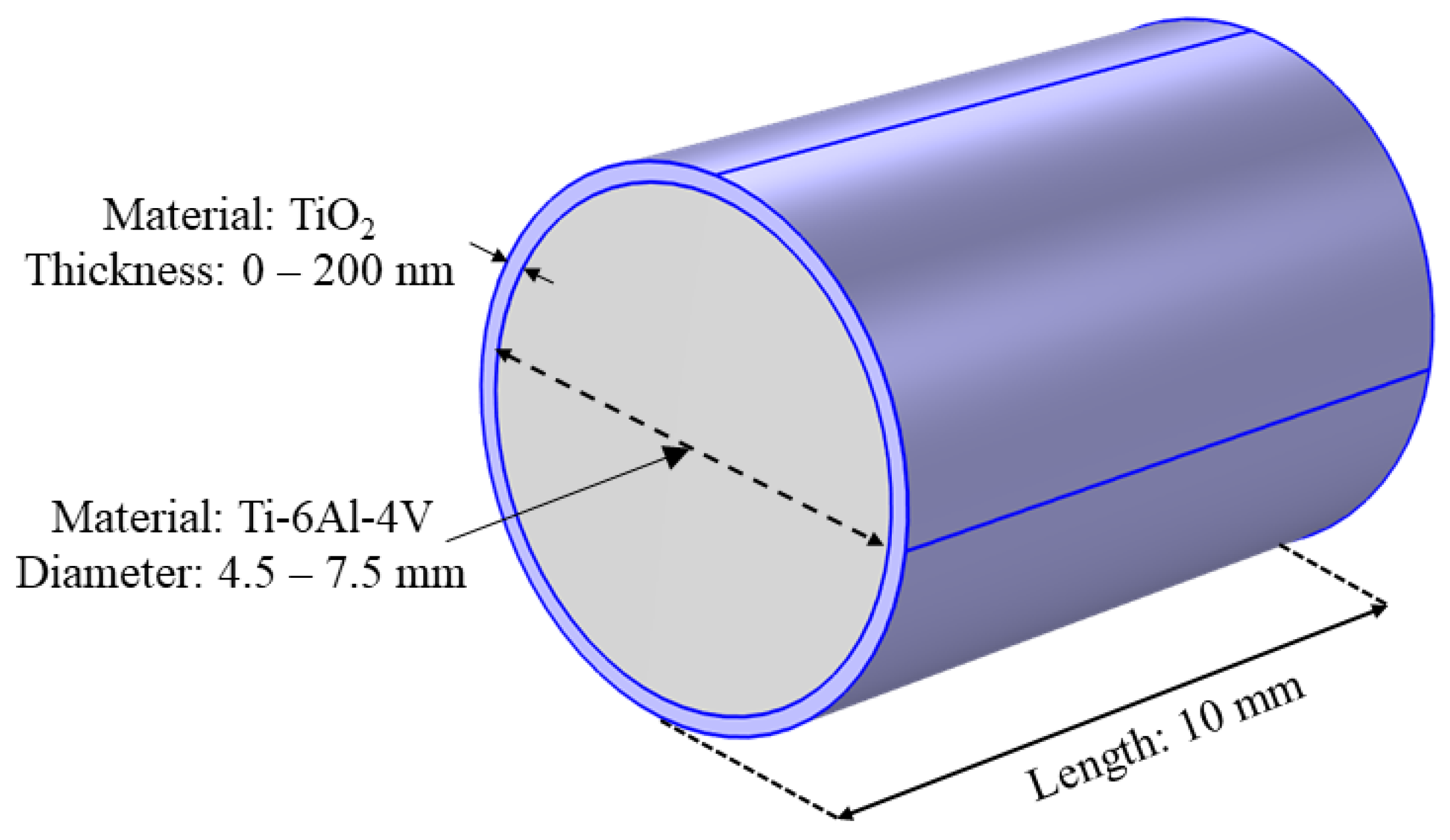Bioengineering 11 00634 g001 Bioengineering 11 00634 g001