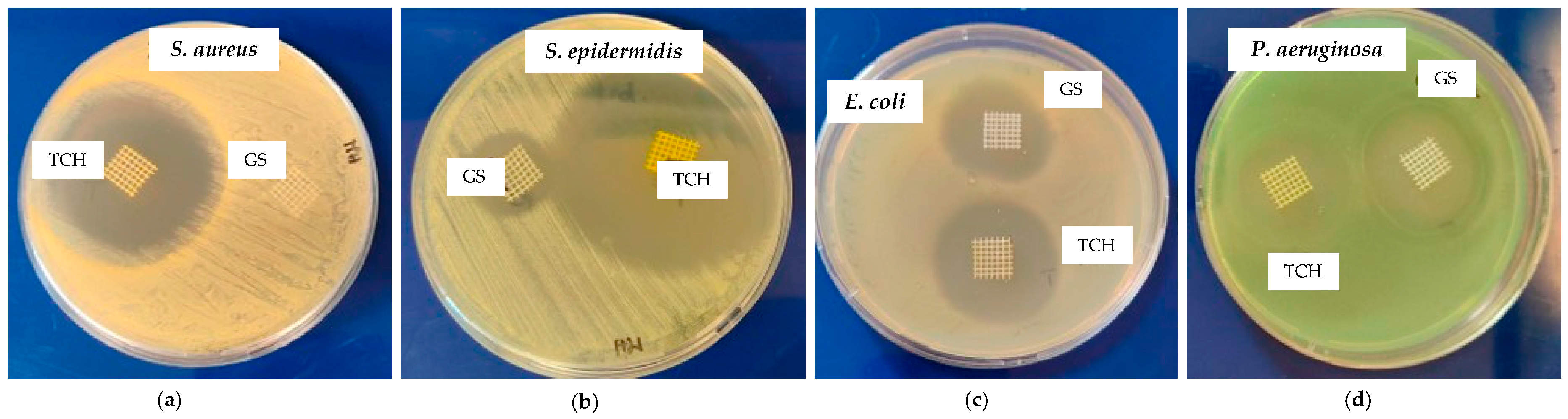 Bioengineering 11 00636 g003 Bioengineering 11 00636 g003
