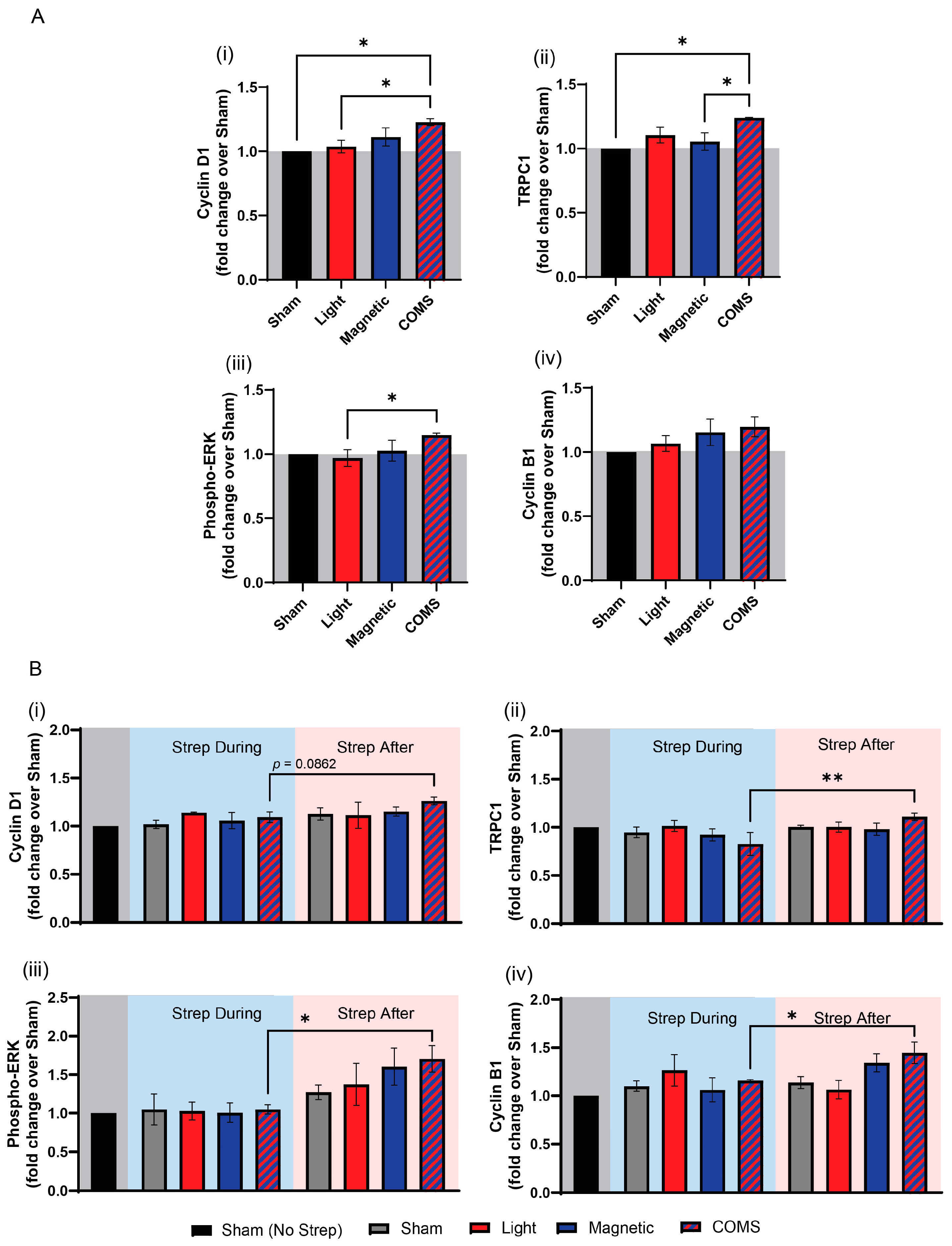 Bioengineering 11 00637 g003