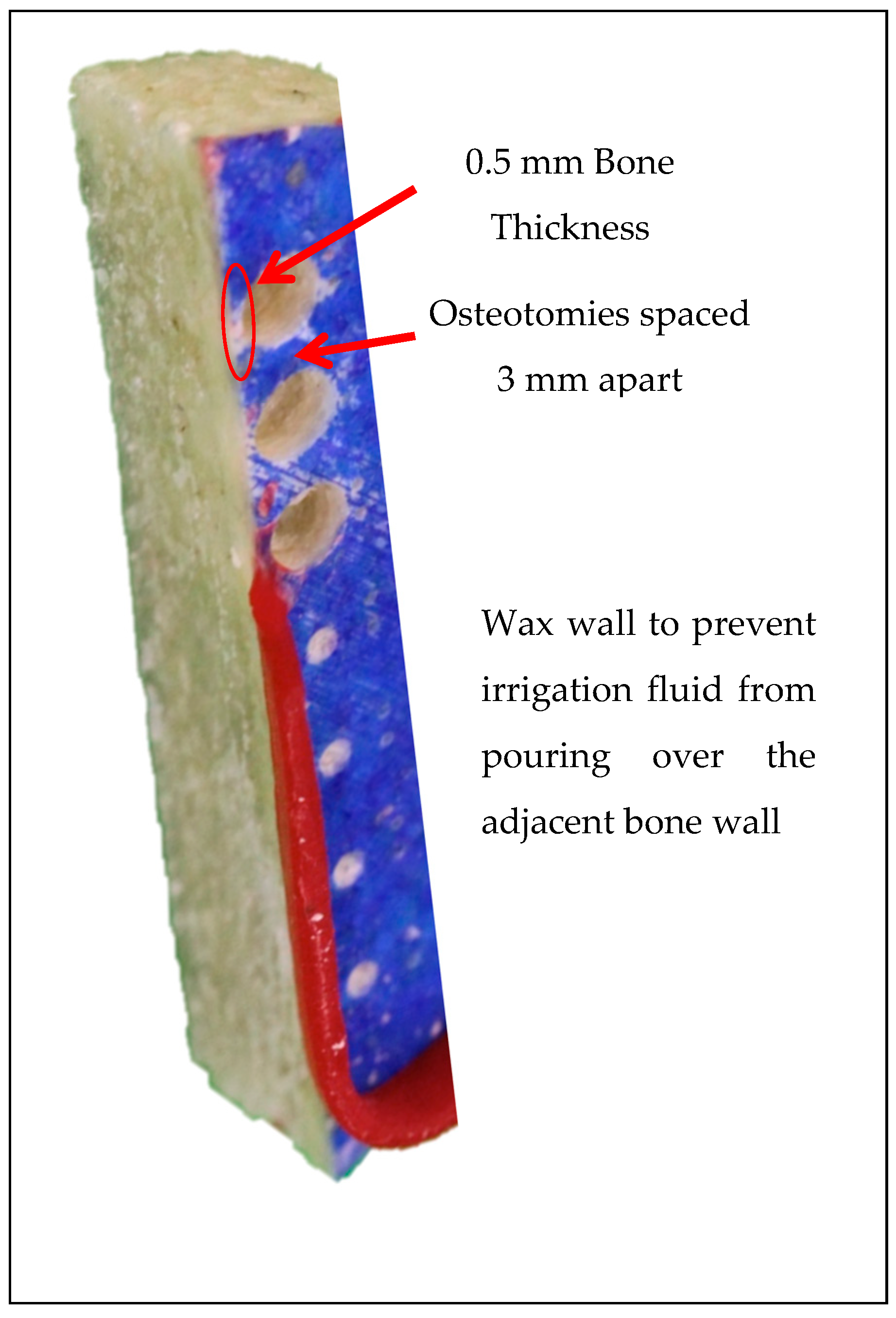 Bioengineering 11 00642 g001