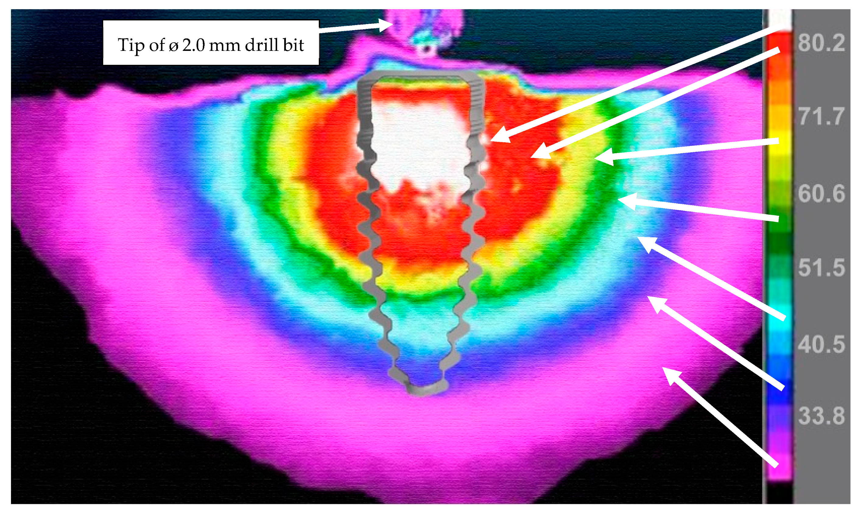 Bioengineering 11 00642 g005