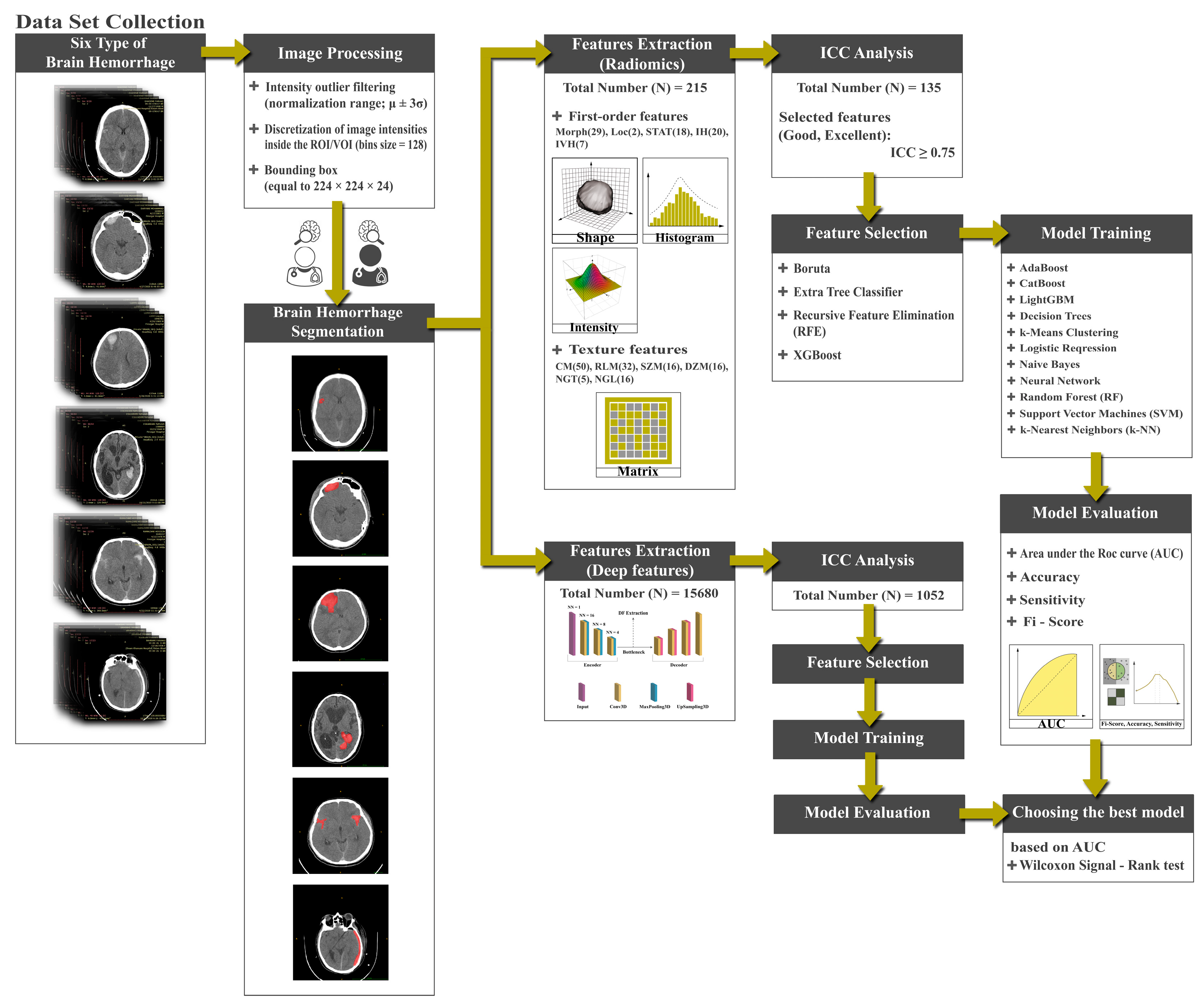 Bioengineering 11 00643 g001