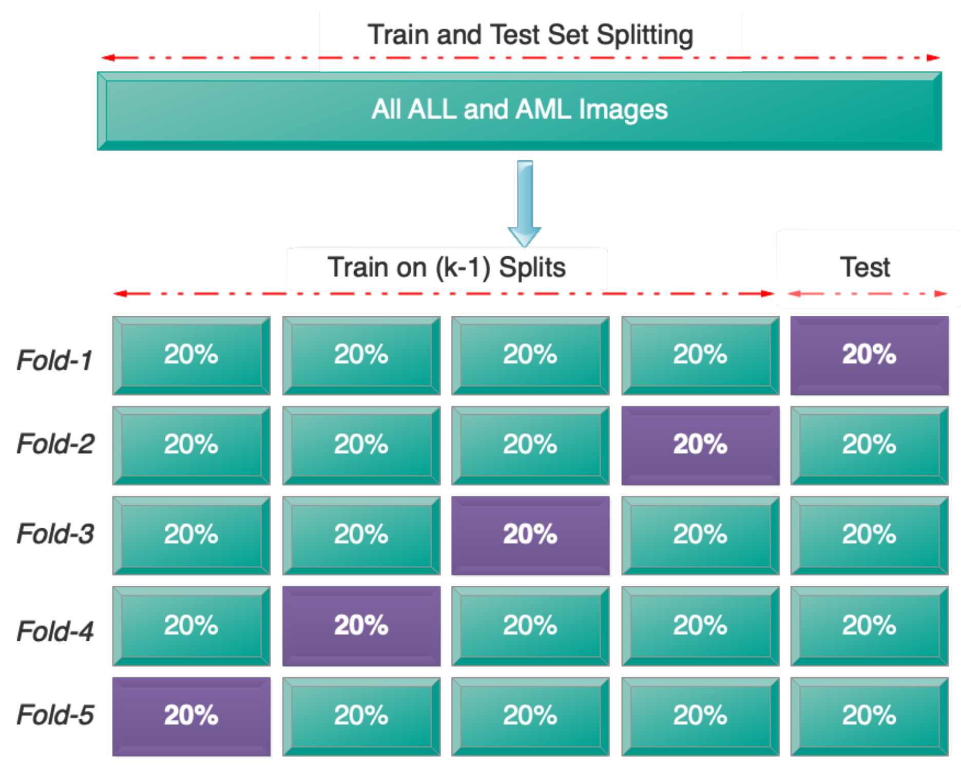 Bioengineering 11 00644 g007