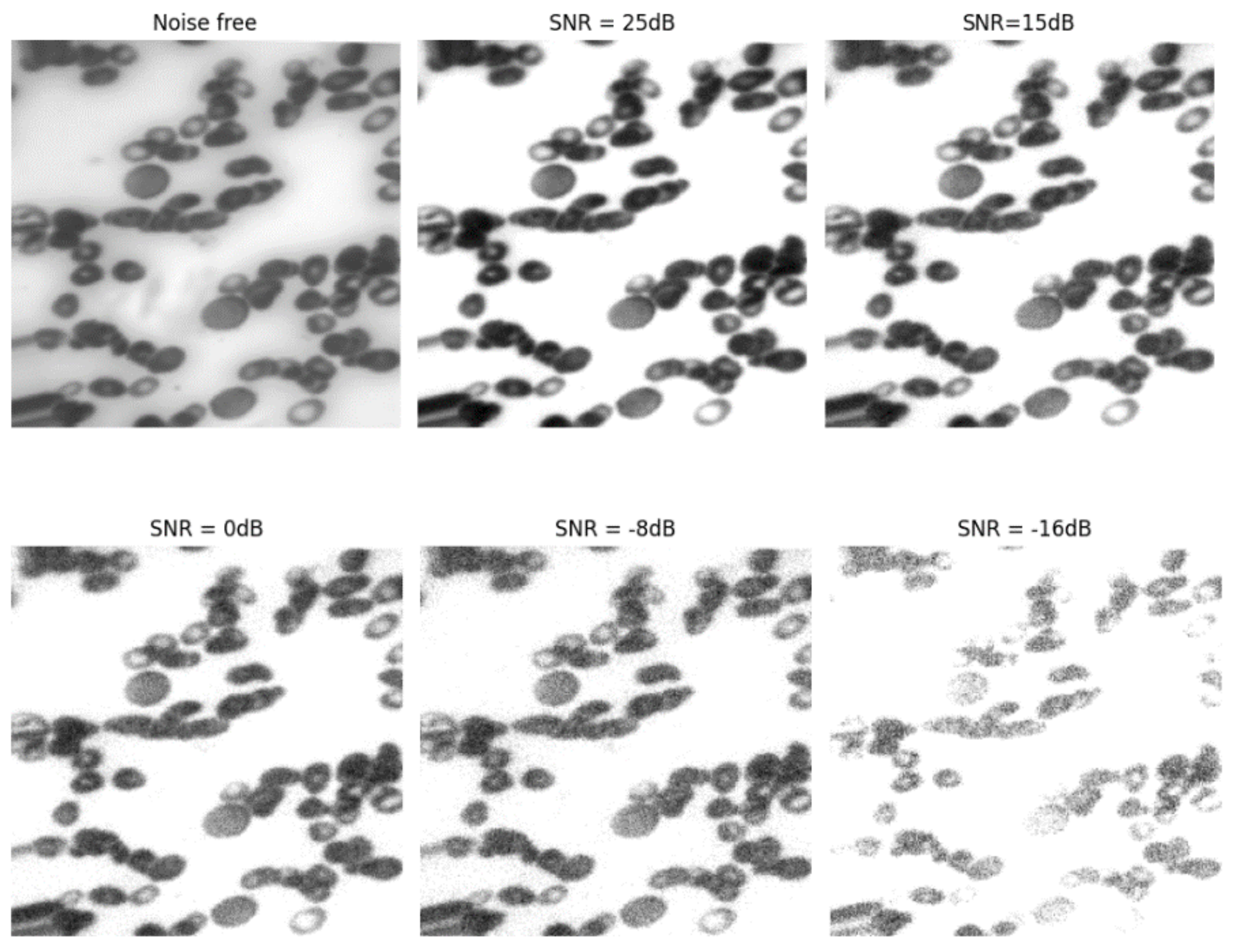 Bioengineering 11 00644 g016