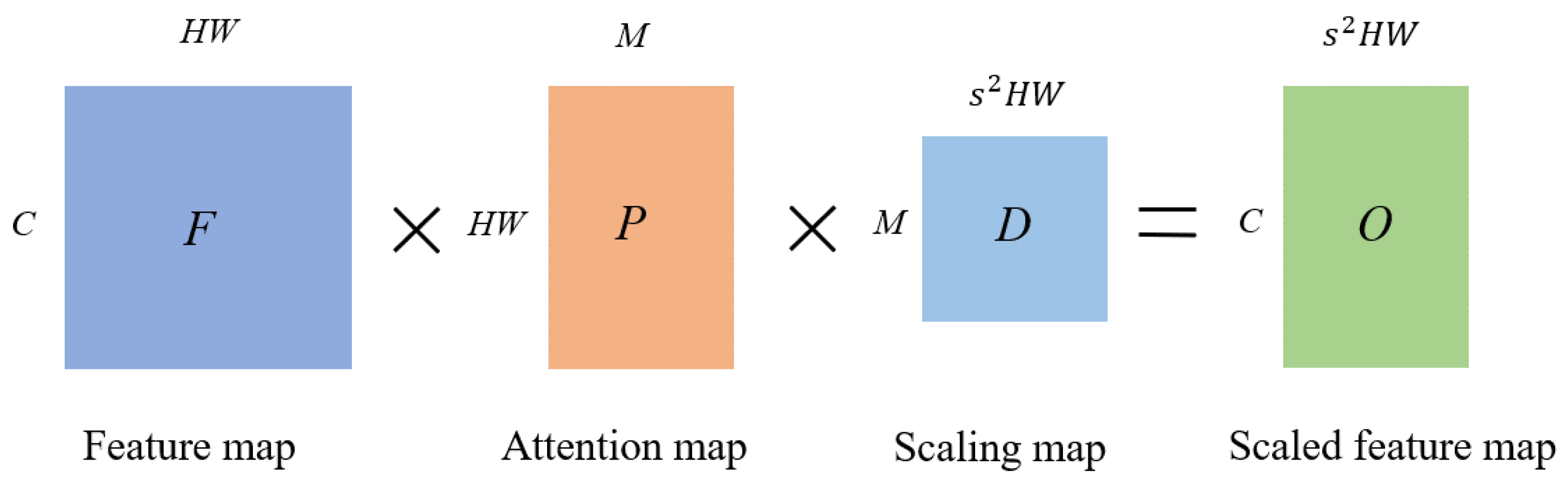 Bioengineering 11 00646 g004