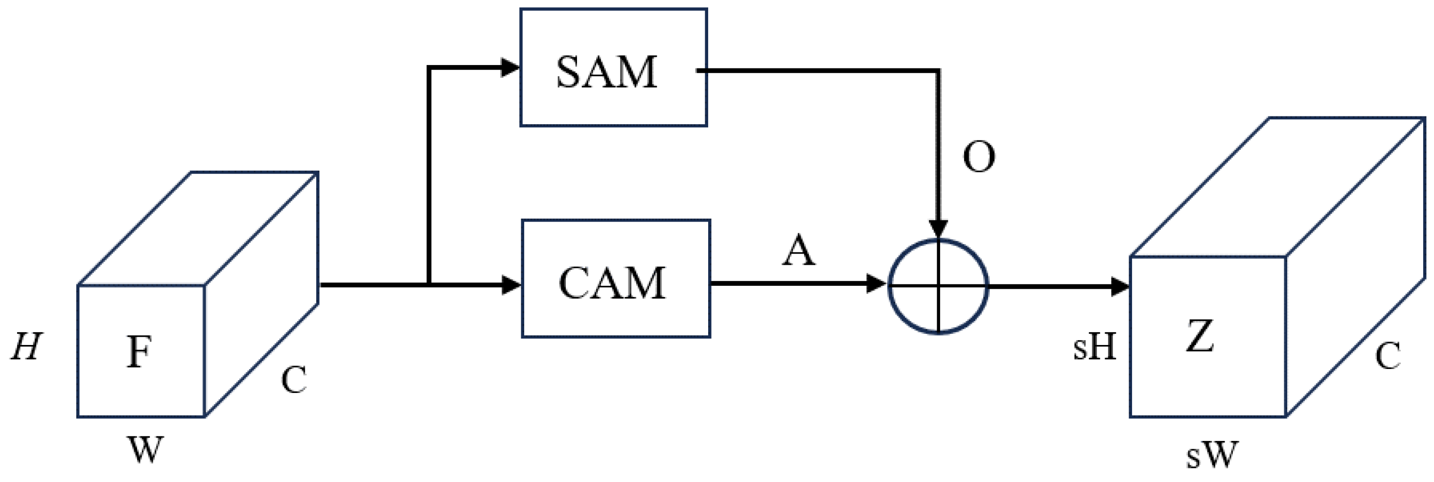 Bioengineering 11 00646 g005