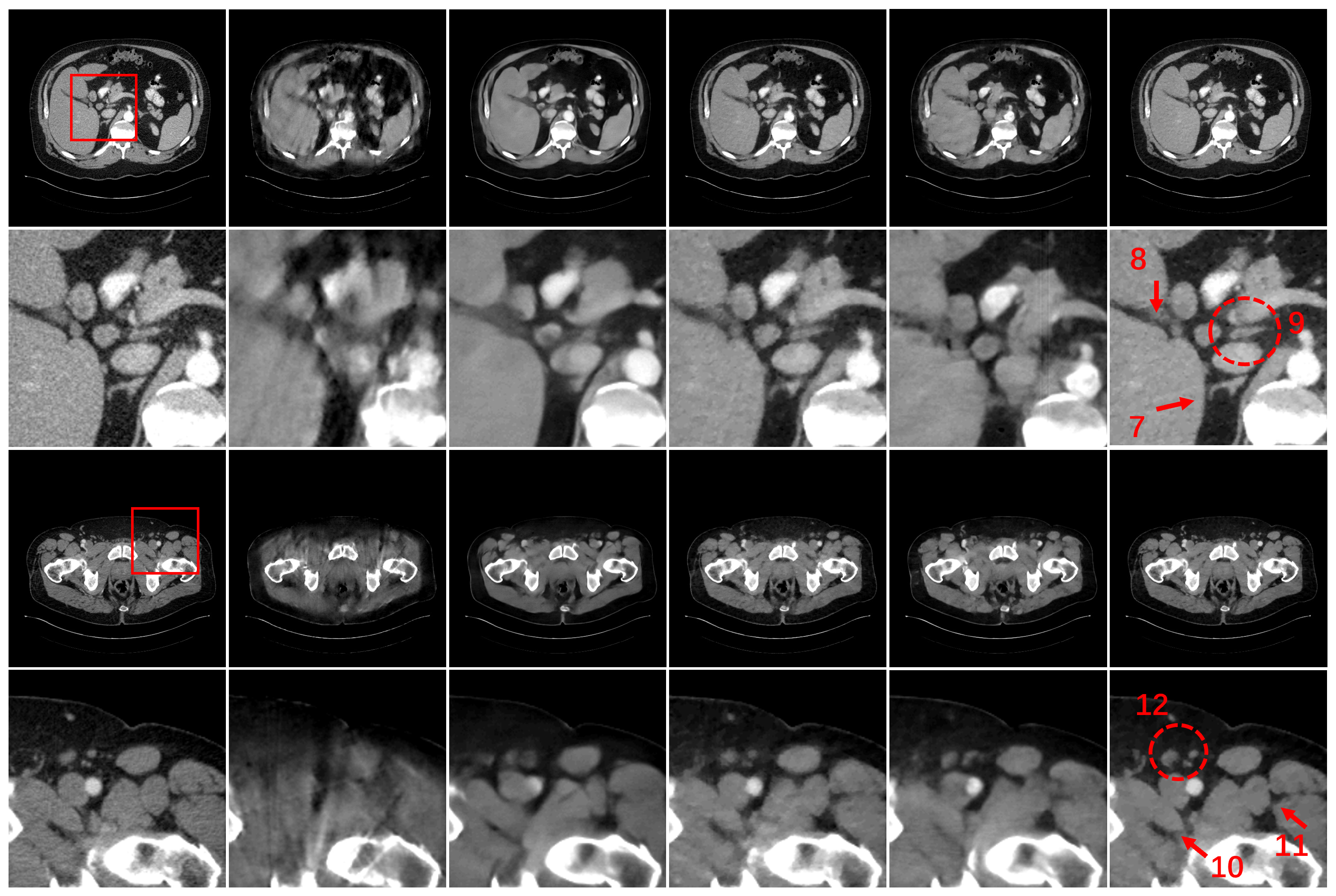 Bioengineering 11 00646 g007