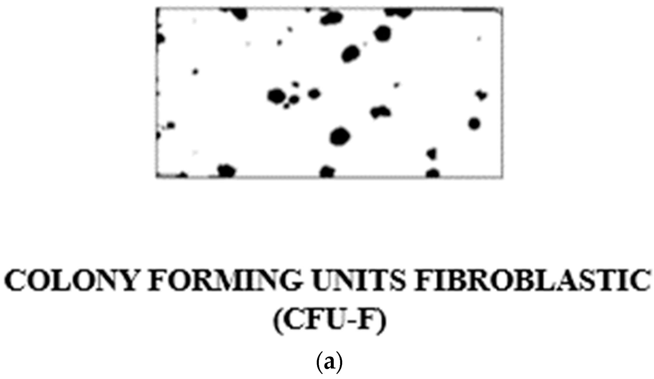 Bioengineering 11 00652 g001a
