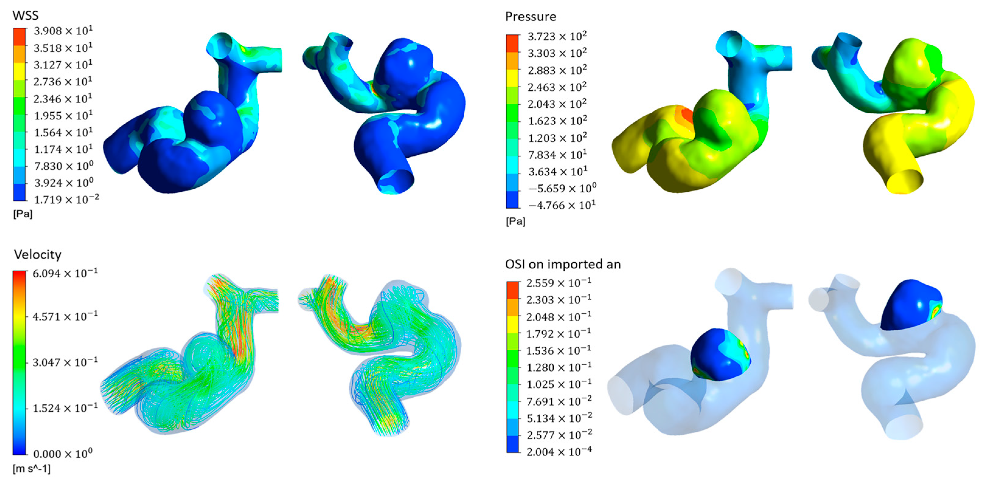 Bioengineering 11 00660 g003