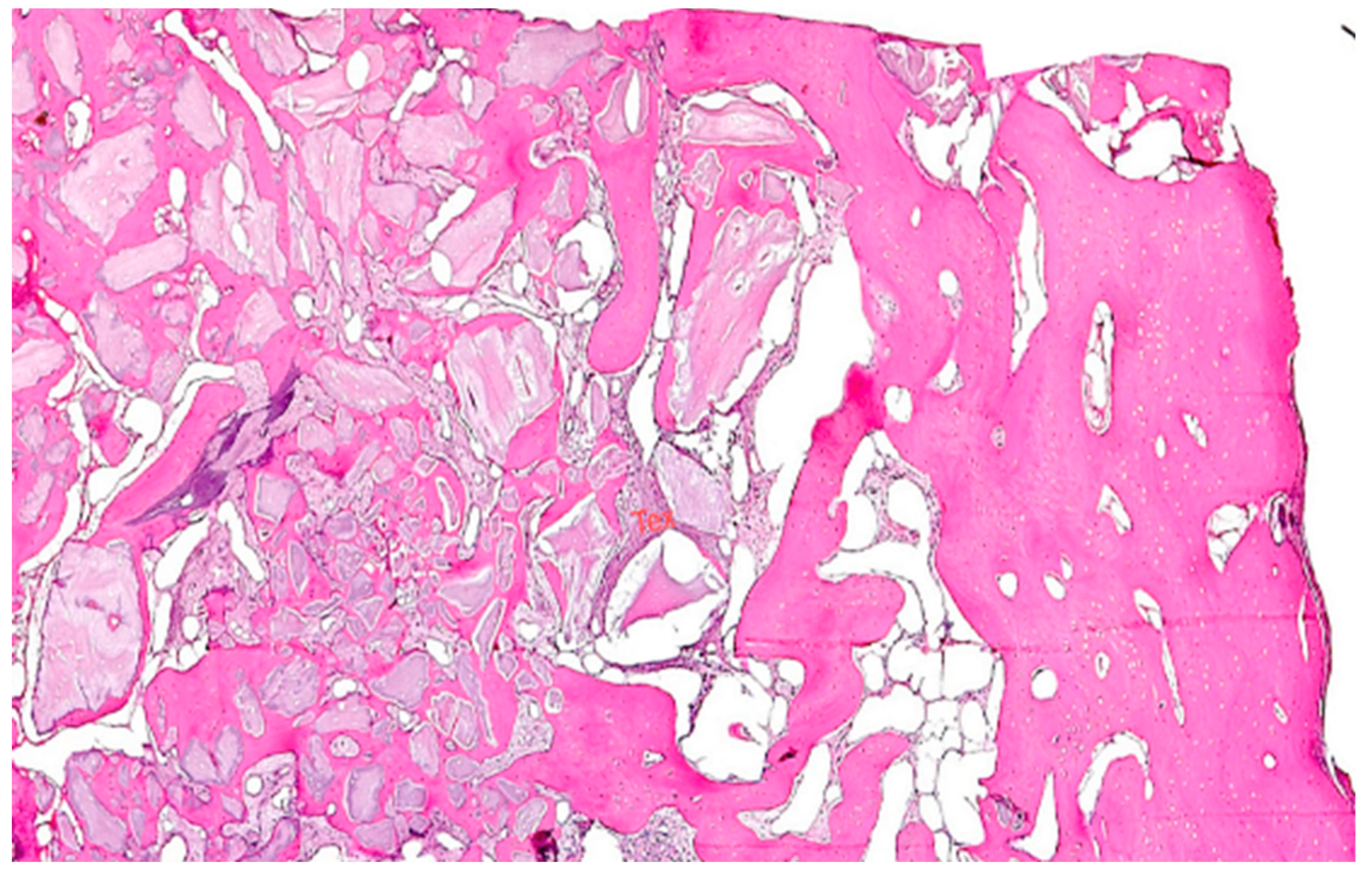 Bioengineering 11 00665 g008